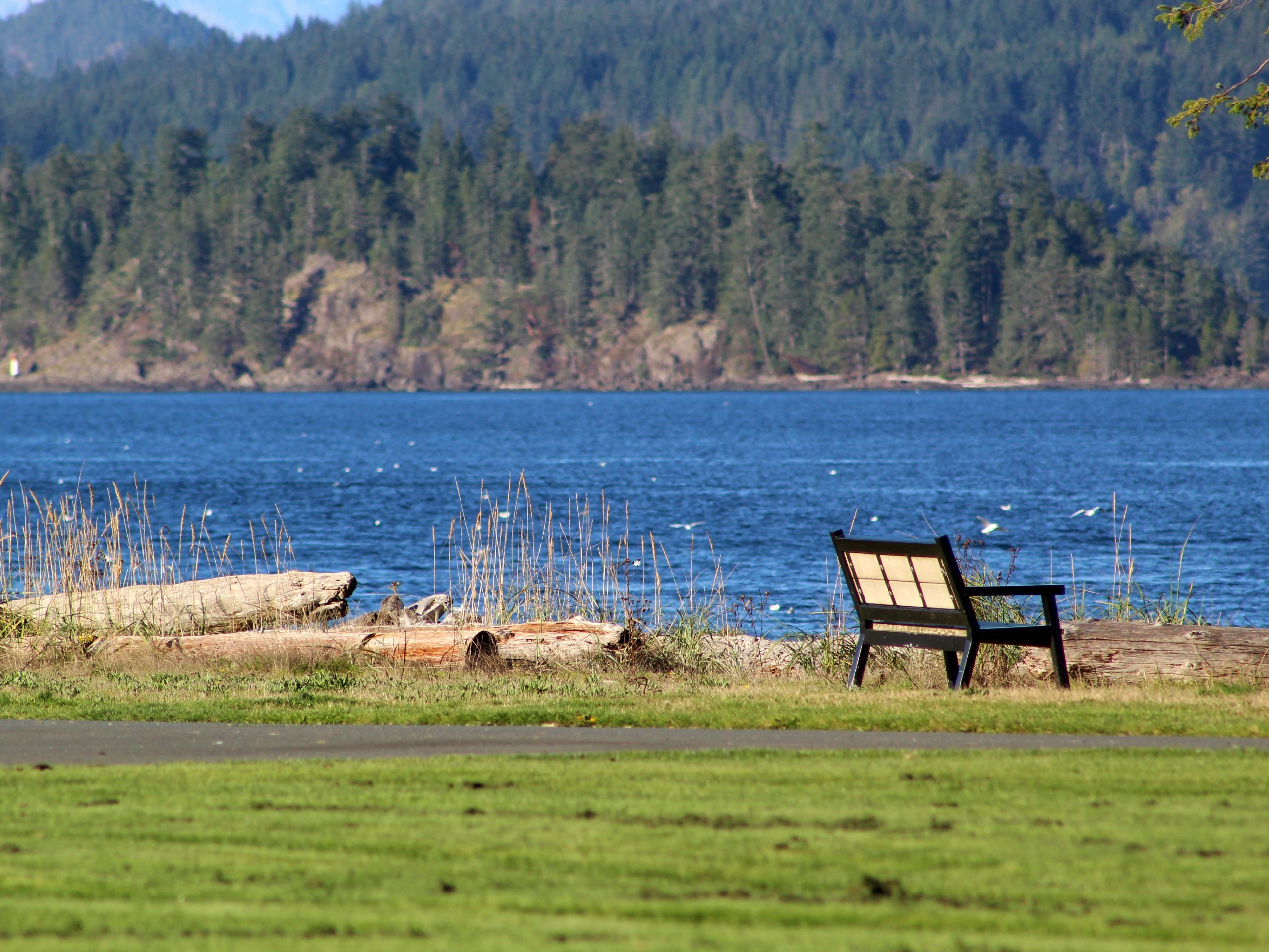 Campbell river (vancouver island)