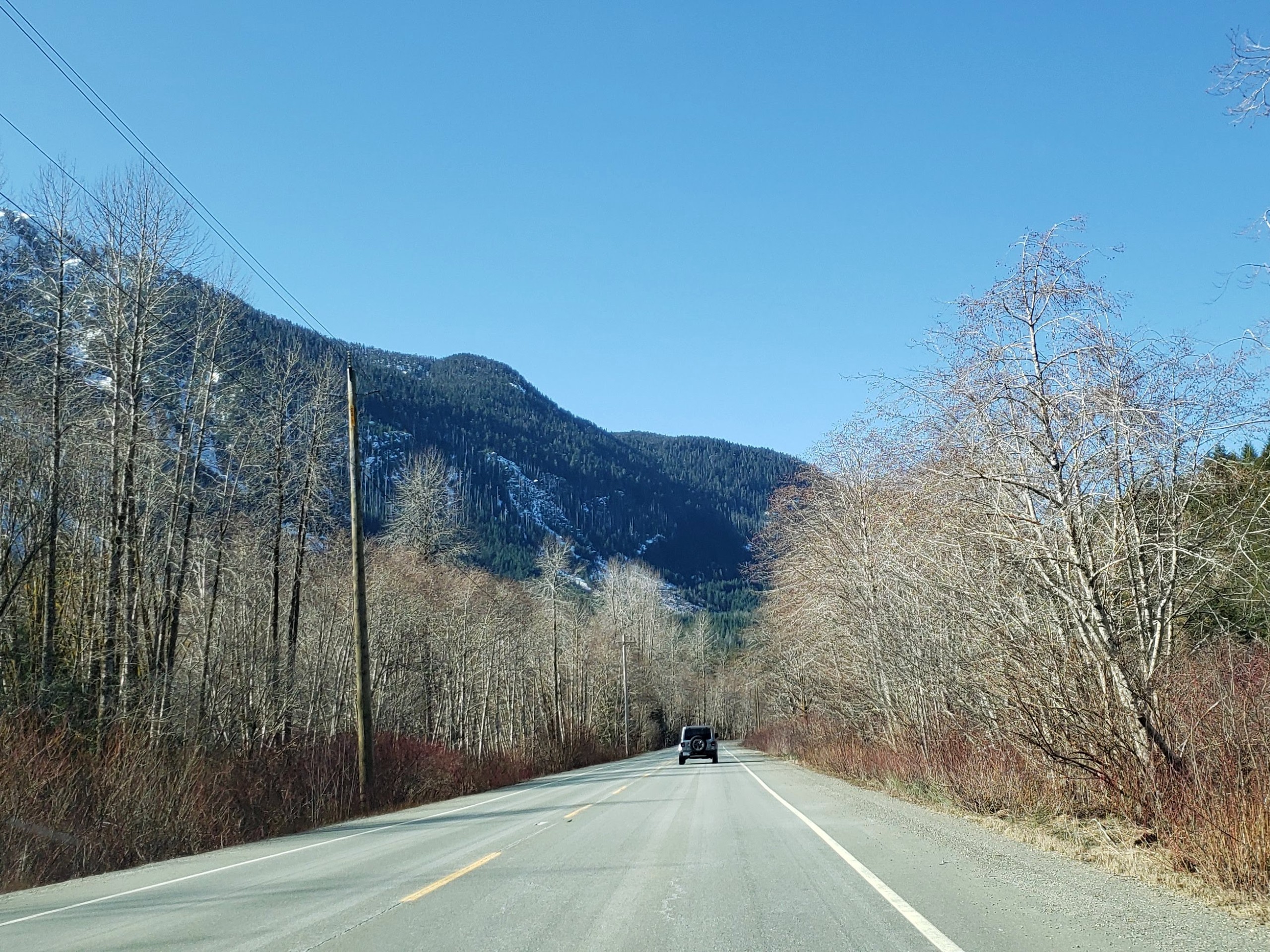 Road at vancouver island