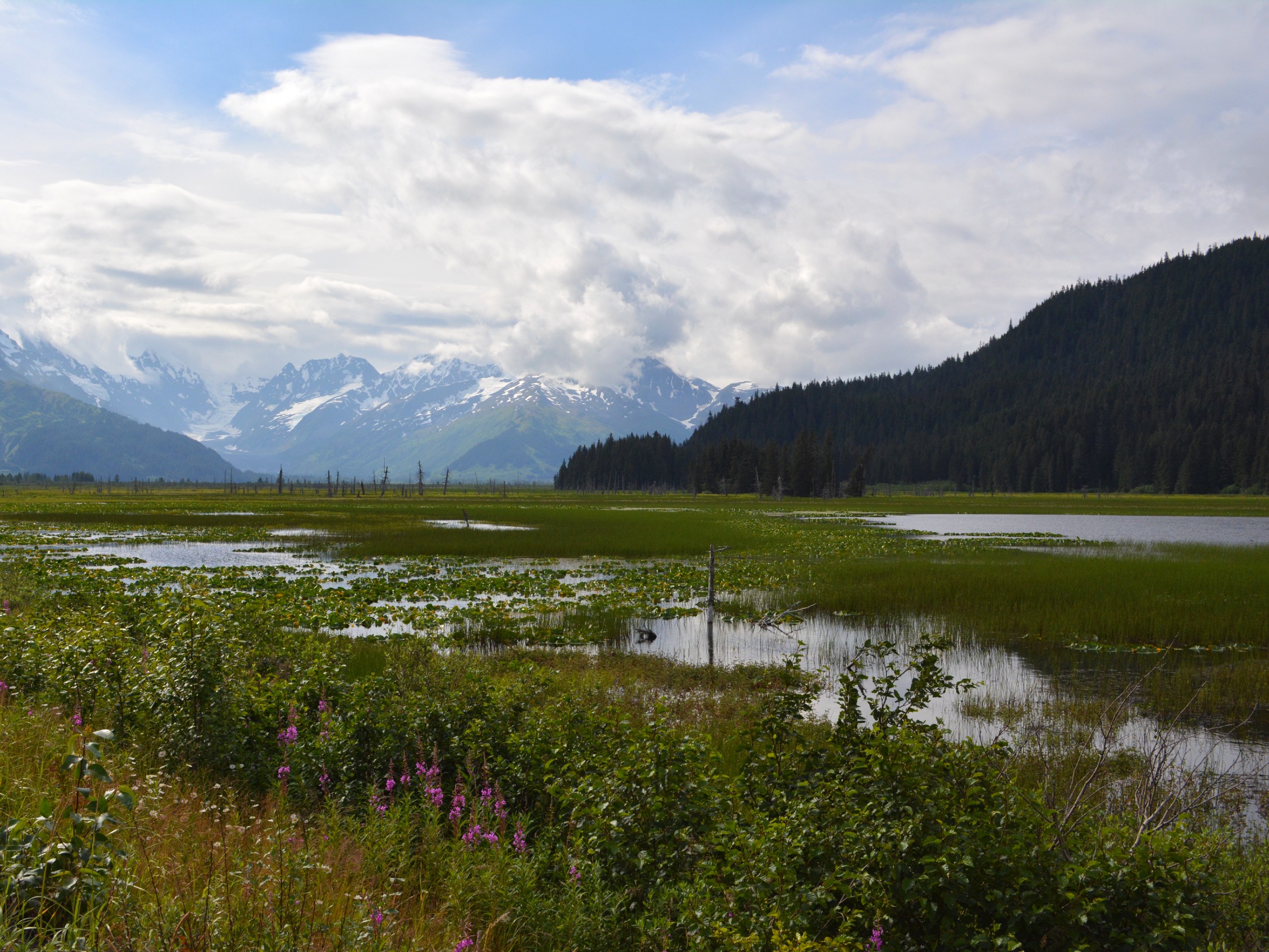 Kenai Peninsula views