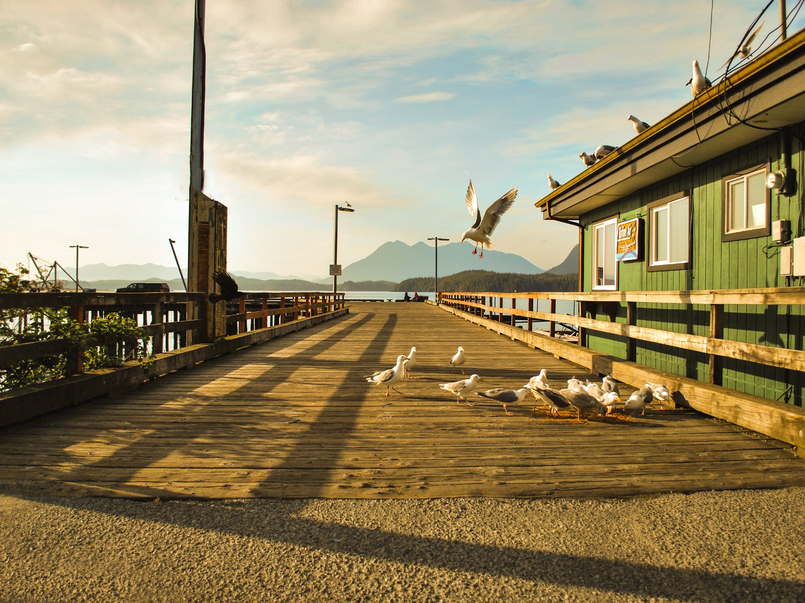 Small pier at Tofino