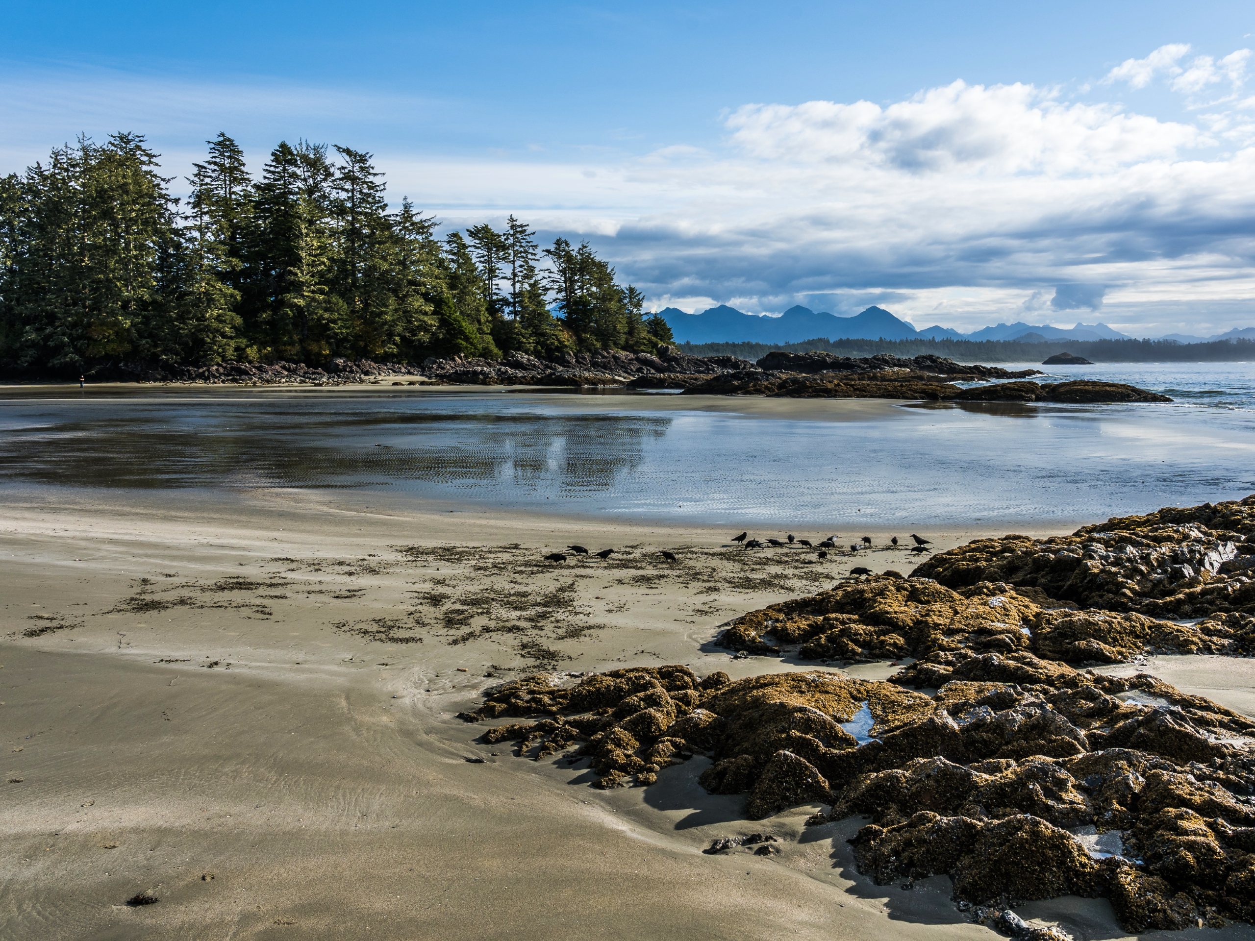 Beach at Tofino (BC)