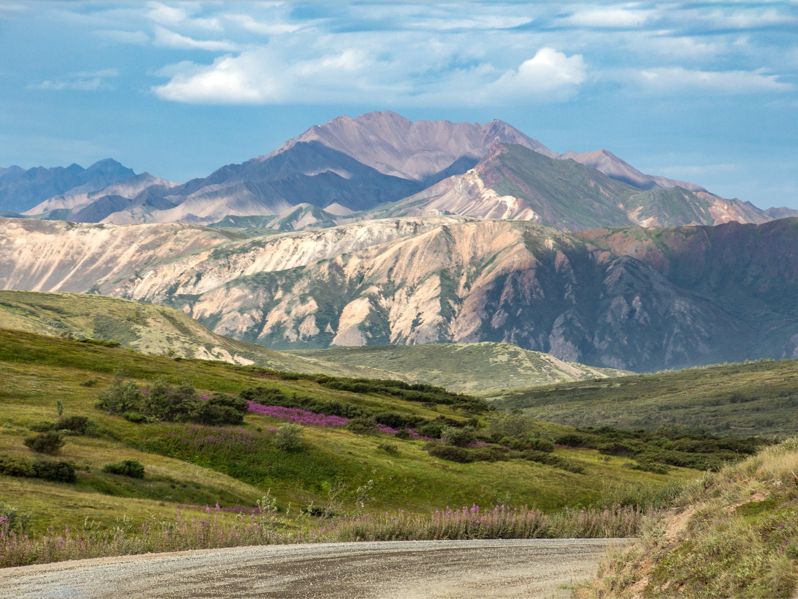 Sunny day in Denali National Park