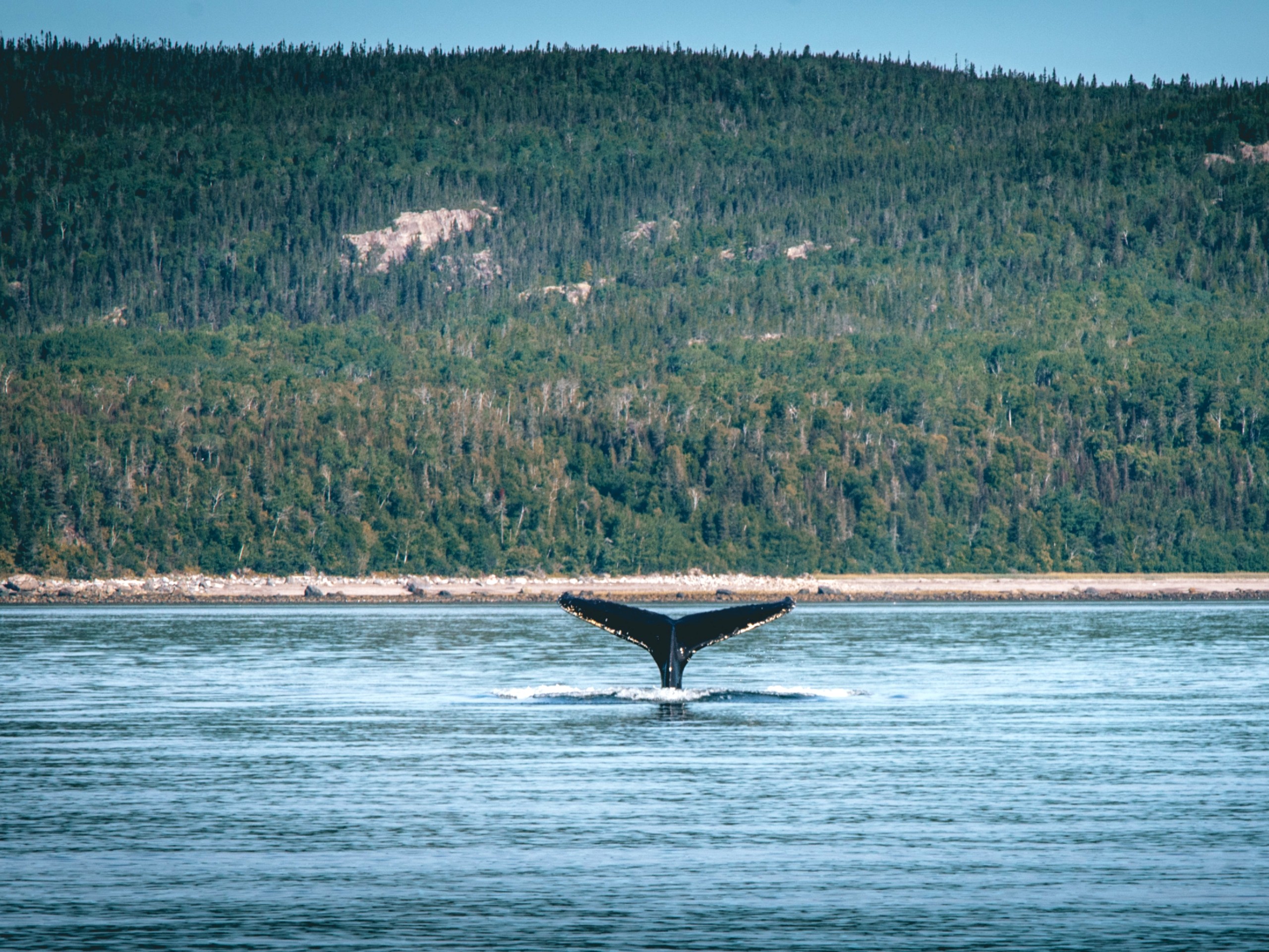 Tadoussac in Quebec