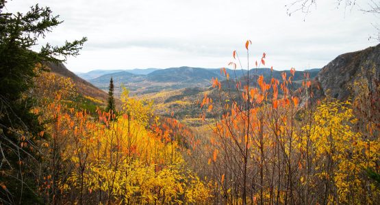 Discover Quebec Self-Drive