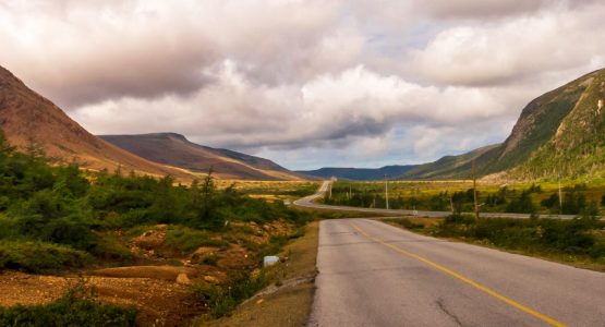 Newfoundland’s North Coast Self-Drive Tour