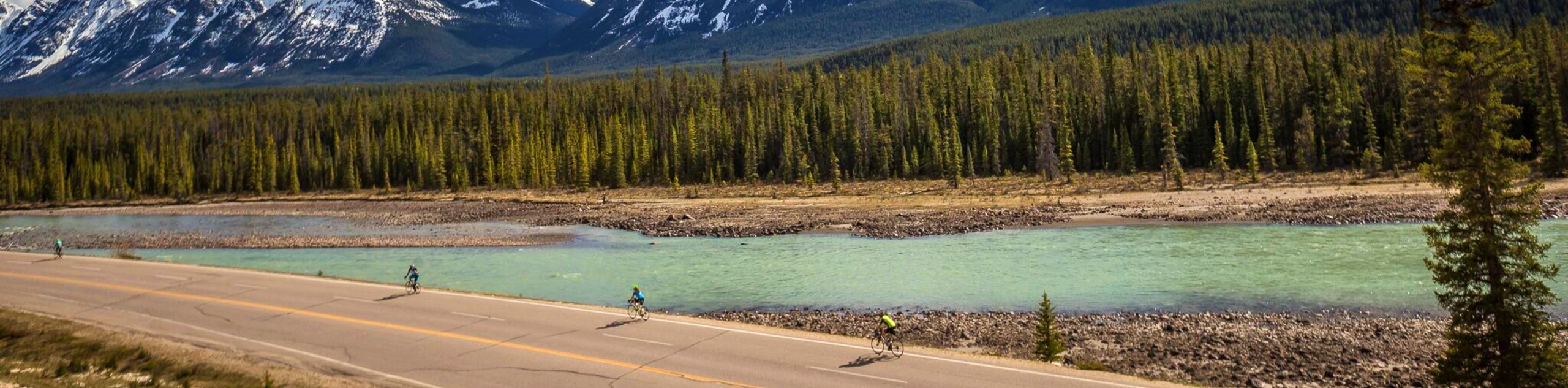 Jasper to Highwood Pass Cycling Tour