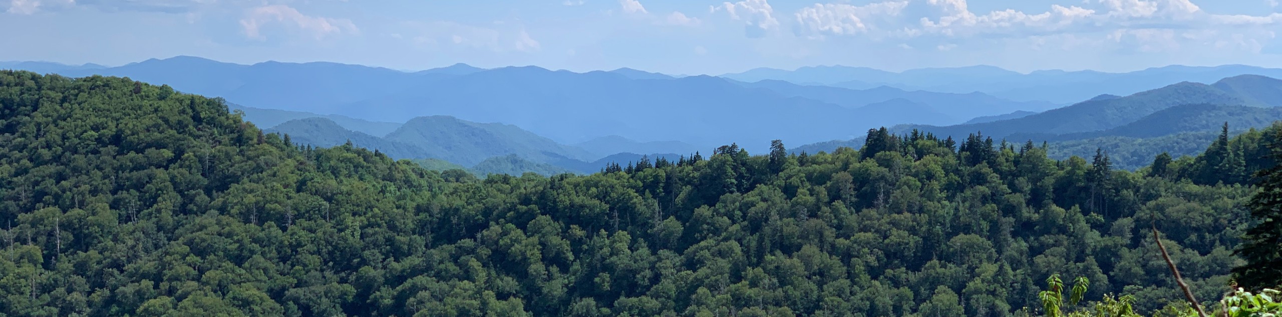 Hiking in the Great Smoky Mountains