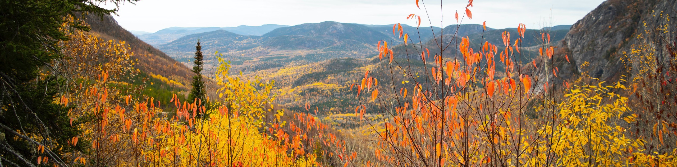 Discover Quebec Self-Drive