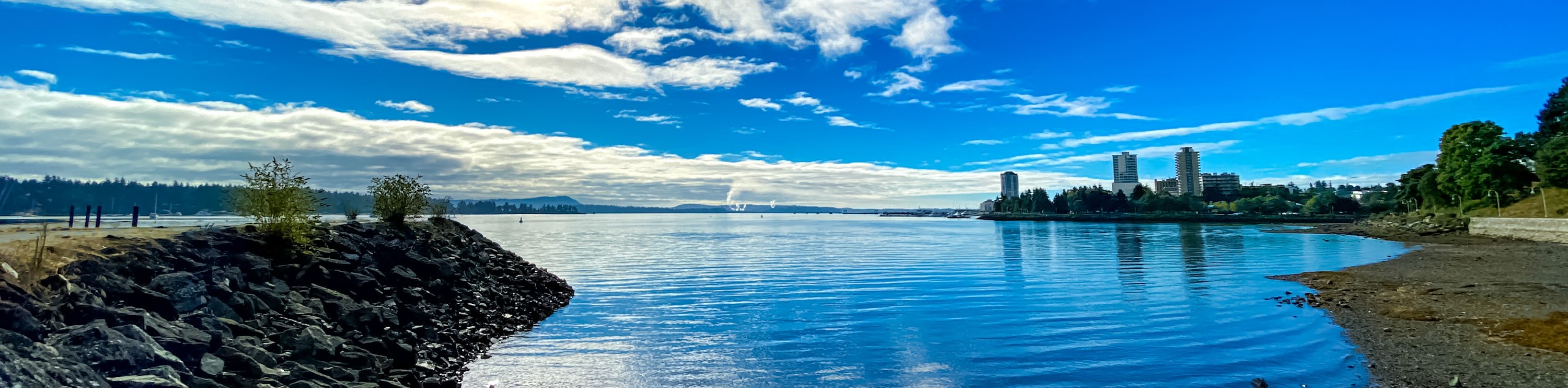 Vancouver Island Wildlife Self-Drive Tour