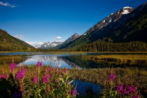 Alaska’s Last Frontier Hiking Tour
