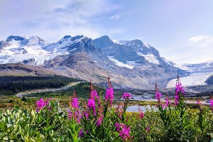 Rockies in Style Hiking Tour