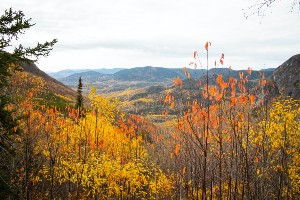 Discover Quebec Self-Drive