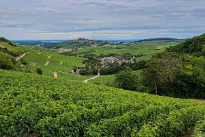 Loire Valley by Bike: Nevers to Orléans