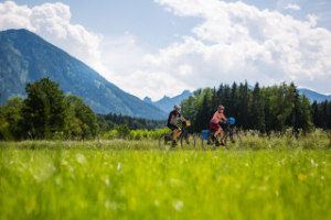 Across the Alps: Salzburg to Villach Bike Tour
