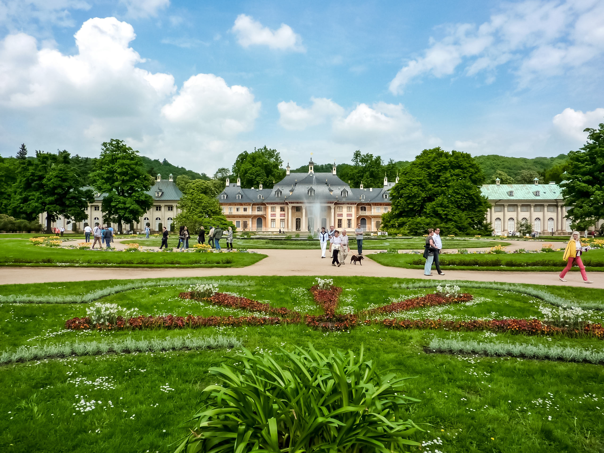 Pillnitz Castle park and 230 year old camellia or the palm house