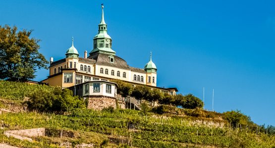 Cycling and Walking Tour of Dresden