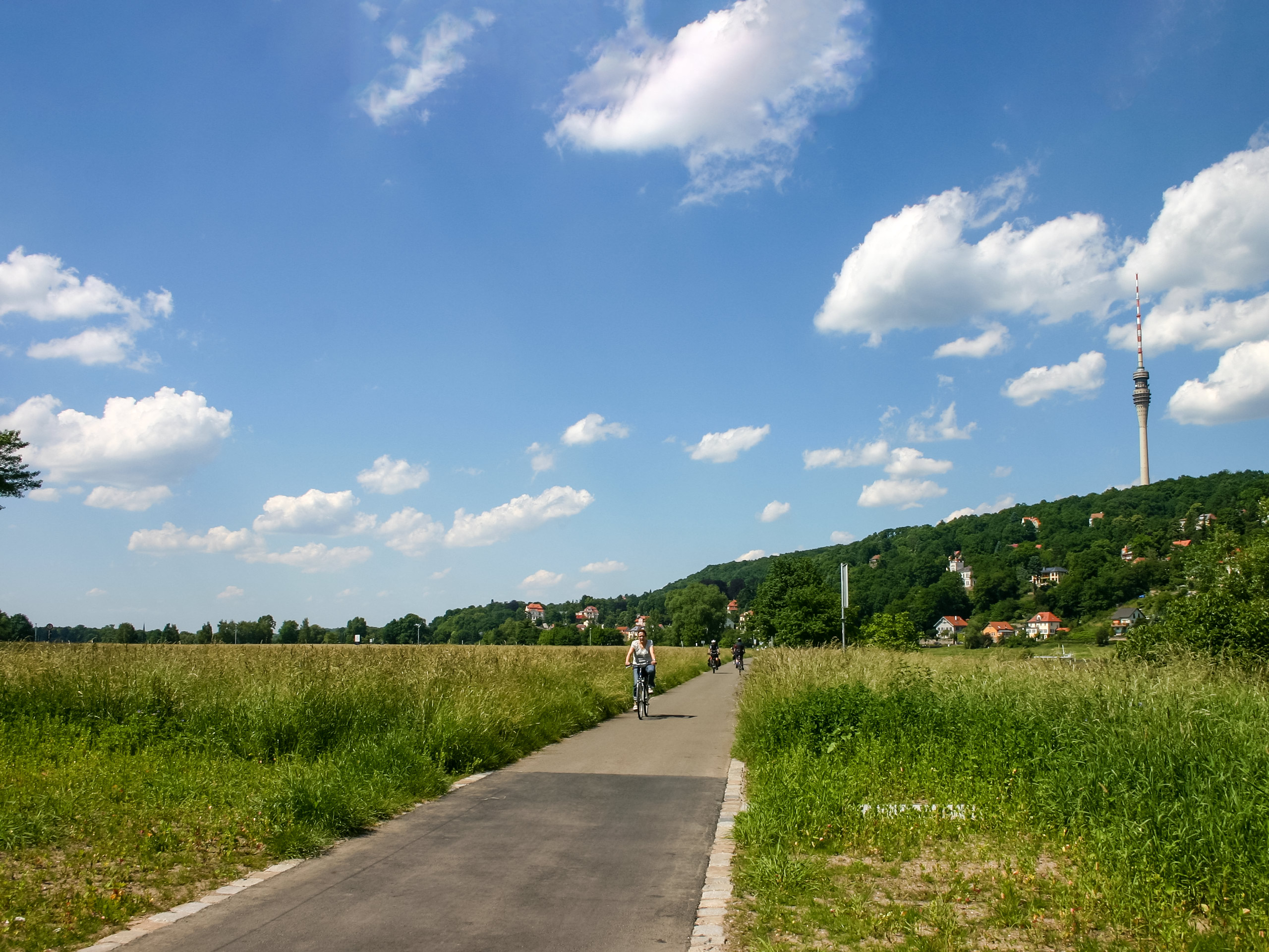 Cyclists on the Elbe Cycle Path in front of the Dresden TV tower