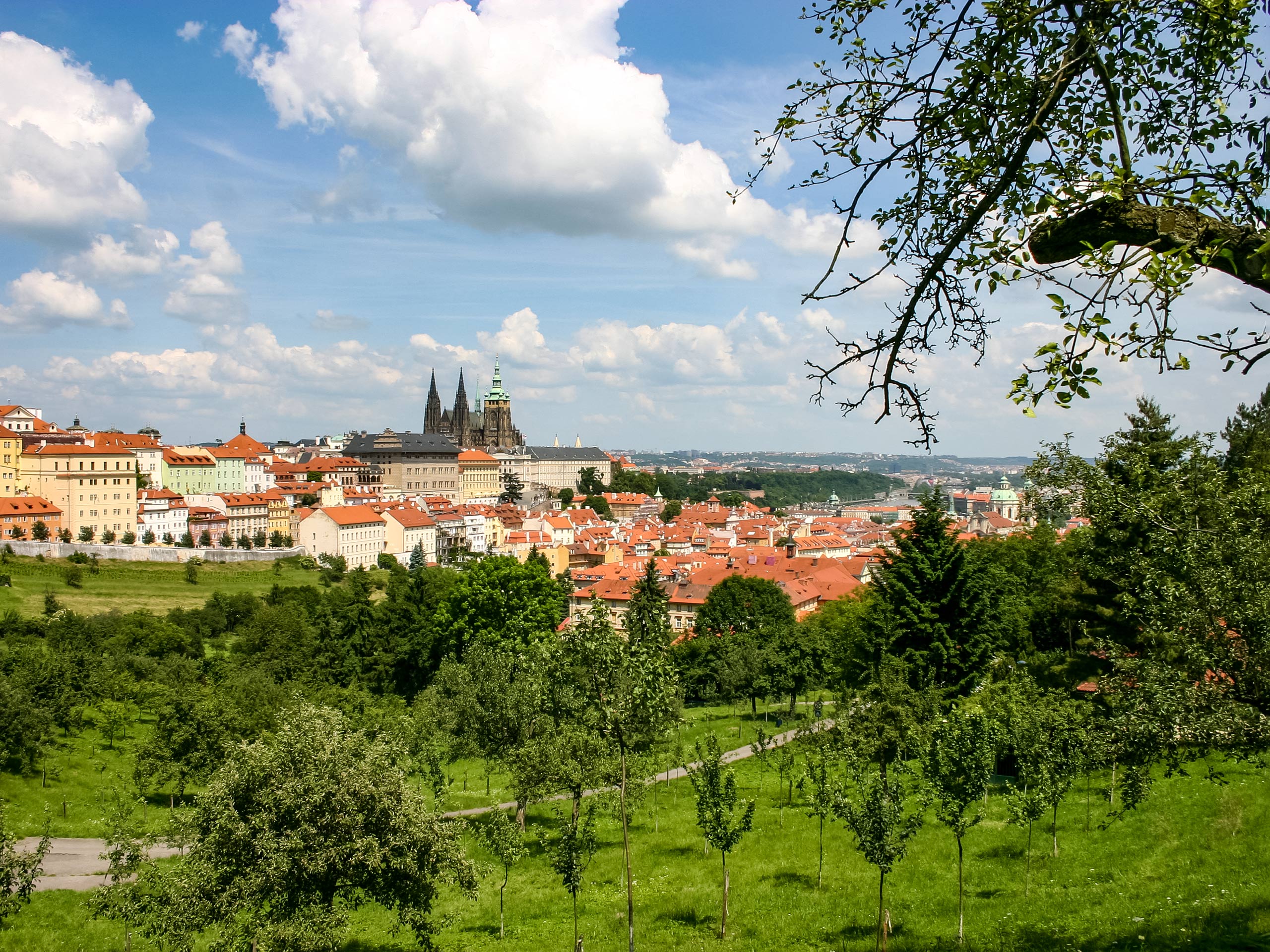 View of Prague Castle and St