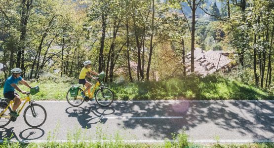 Mountains and Sea: Salzburg to Grado Bike Tour