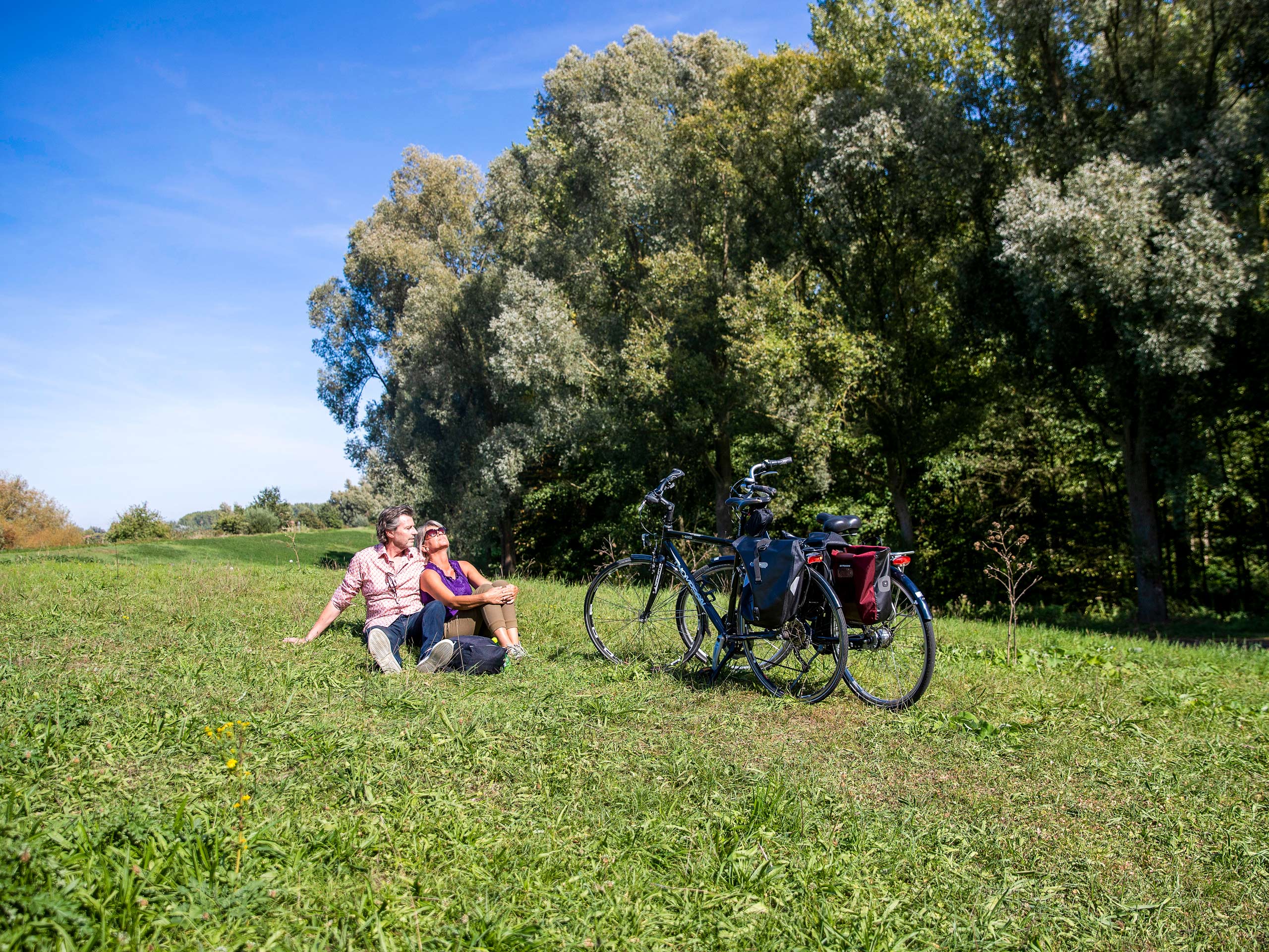 Break near the forest