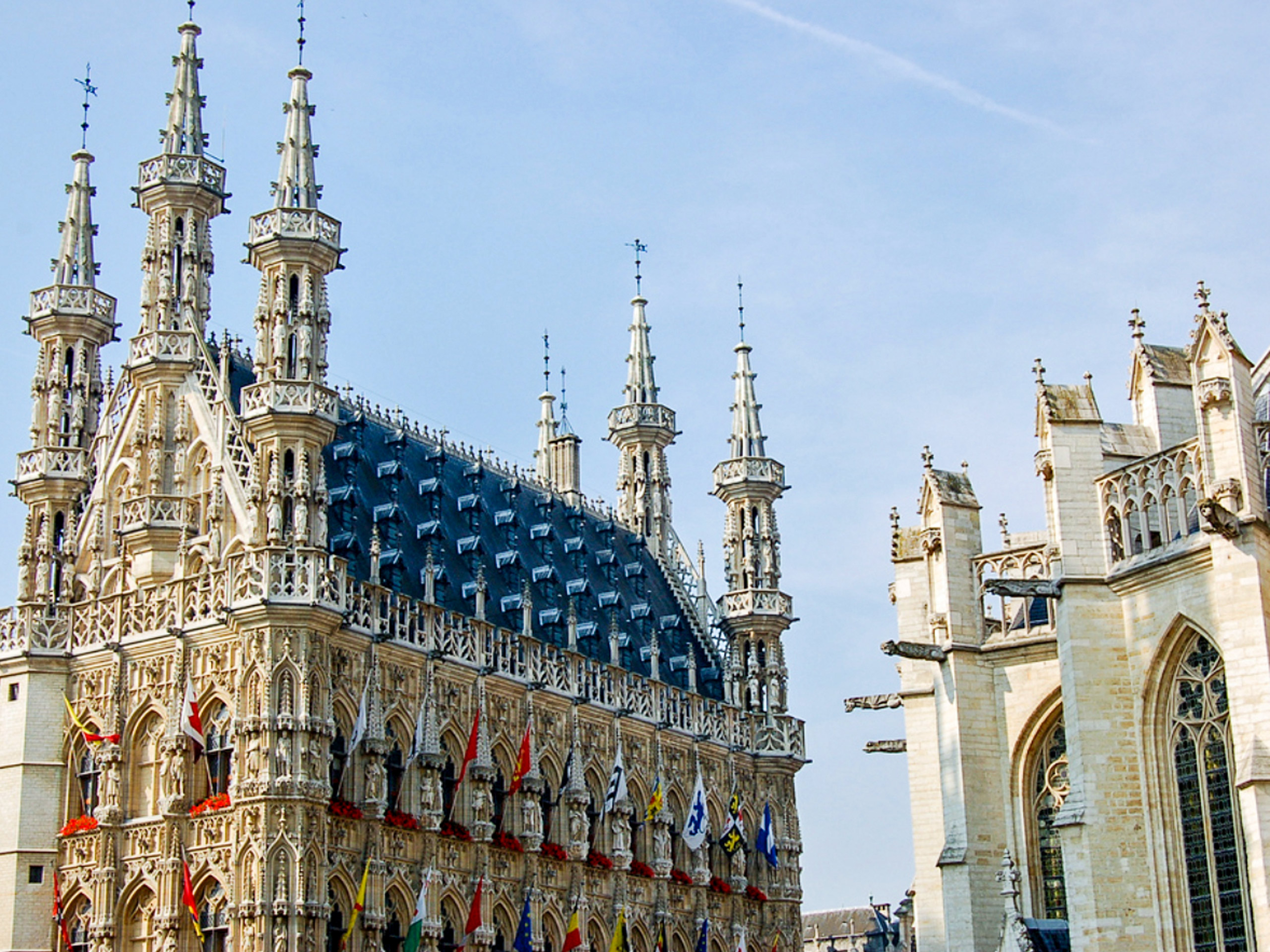 Leuven Townhall Cathedral