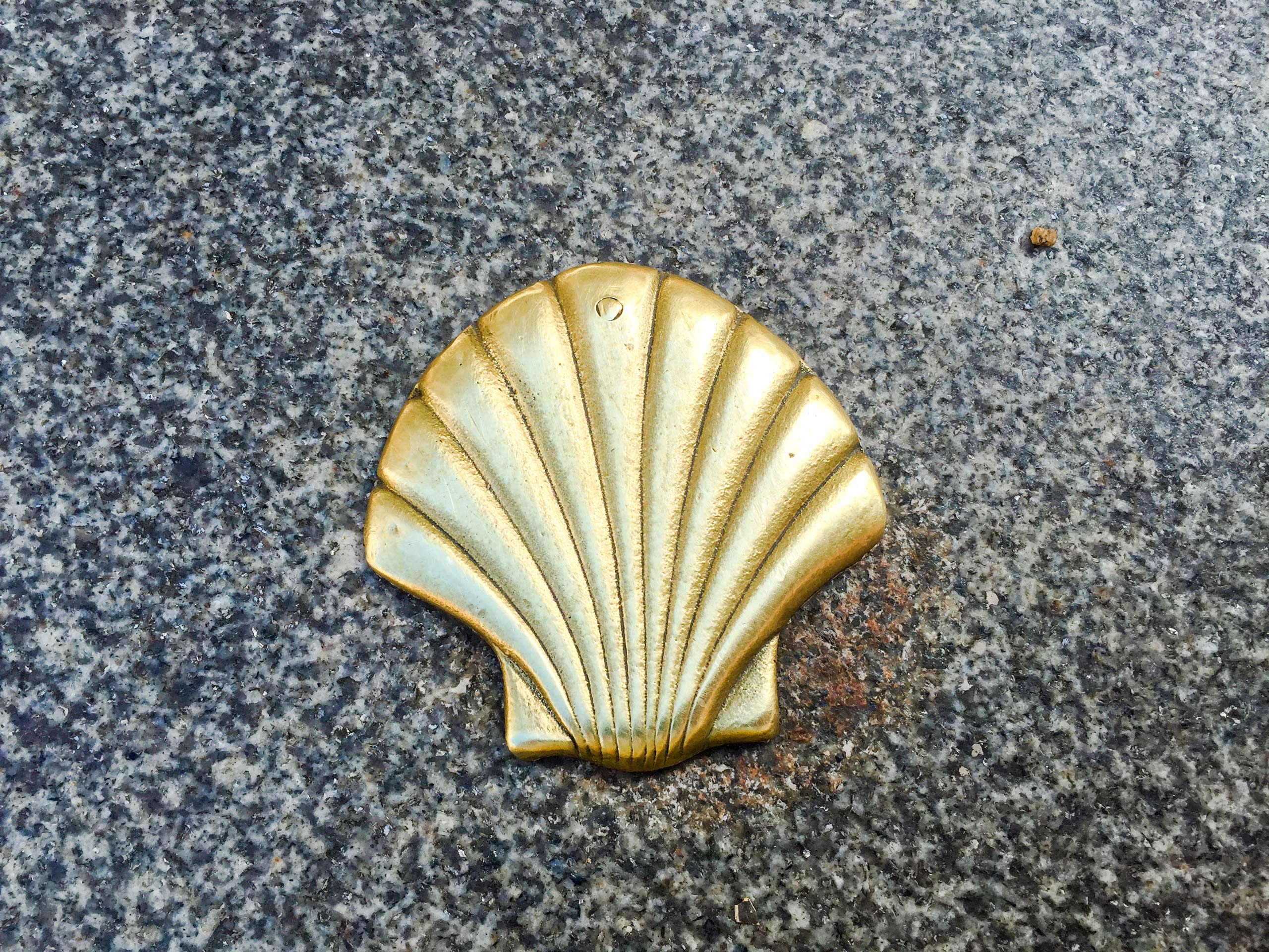 Golden shell in the wall