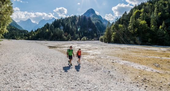 Forest hiking in Italy