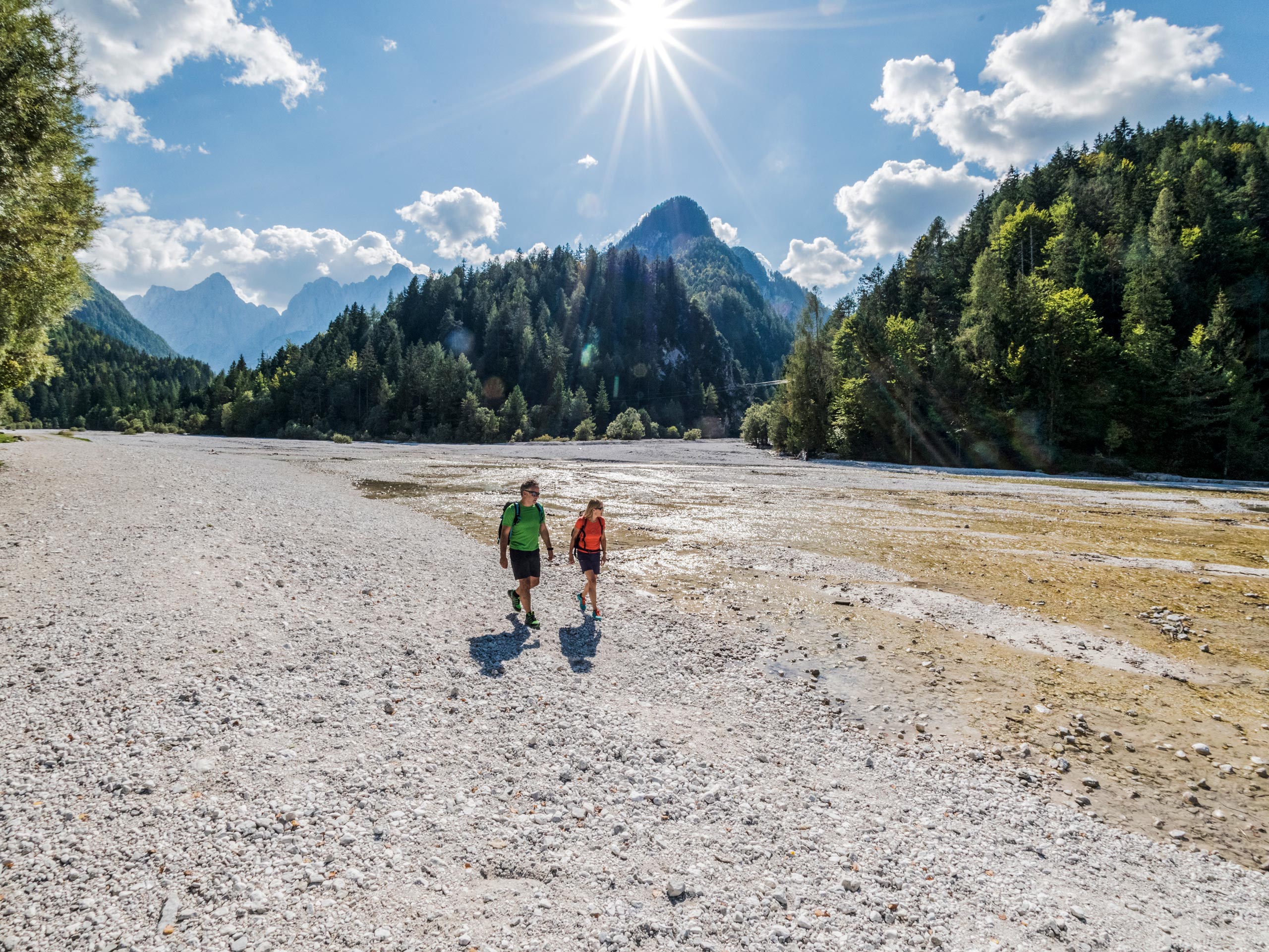 Forest hiking in Italy