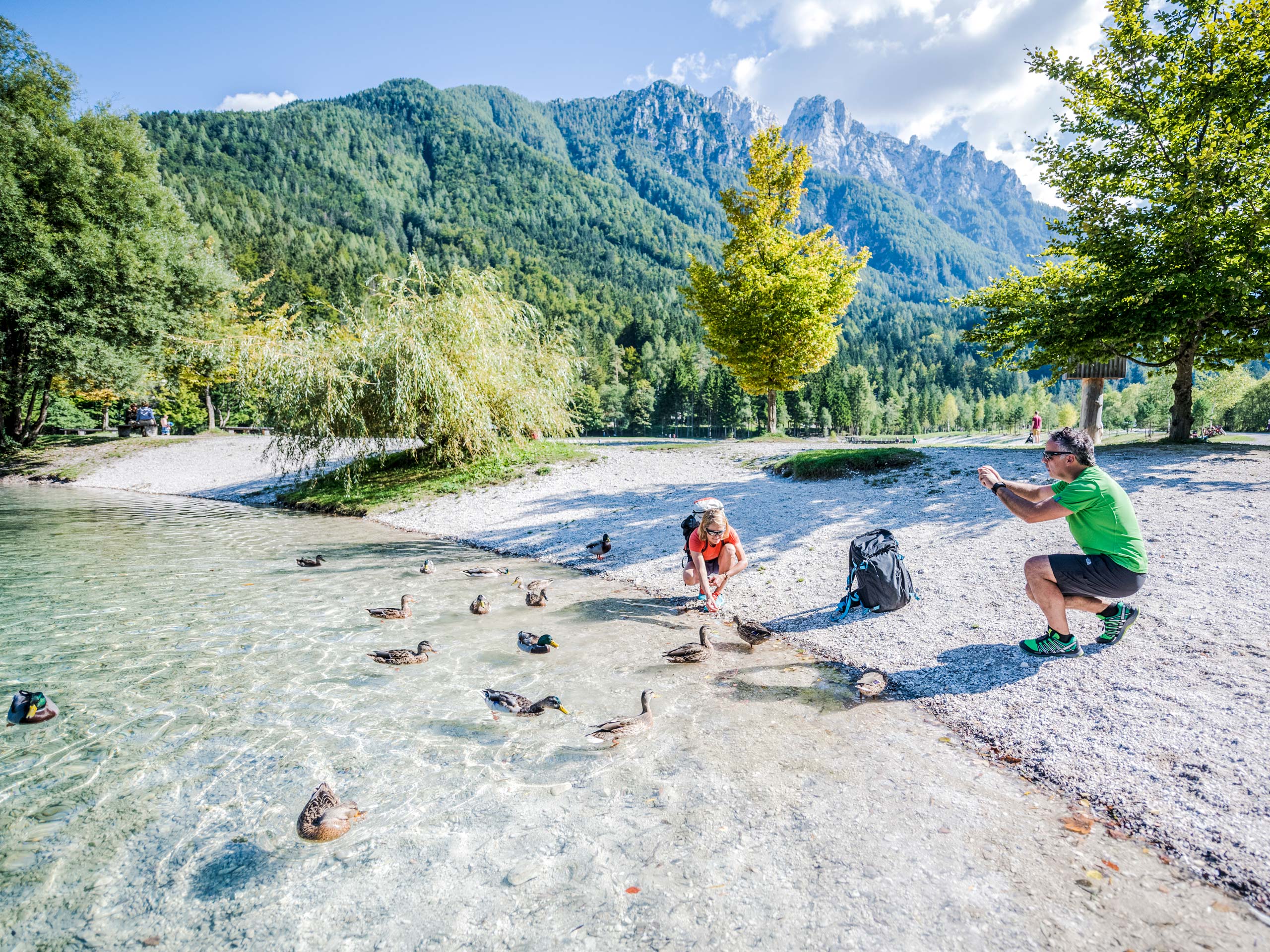 Tourists feed ducks by the river