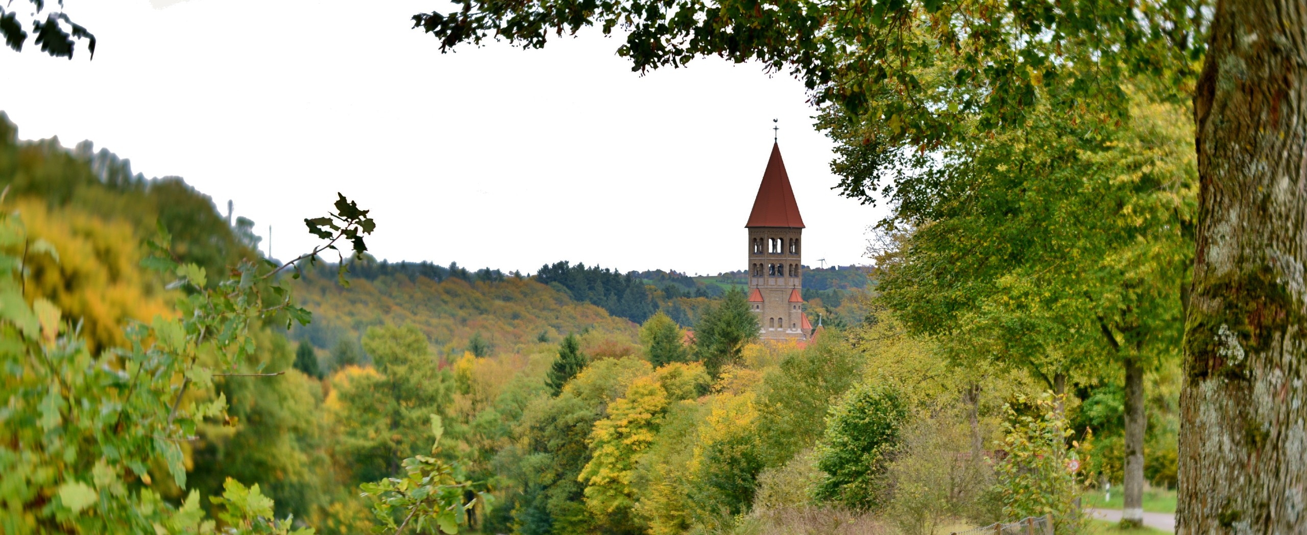 8-Day Vennbahn Rail Trail Cycling Tour