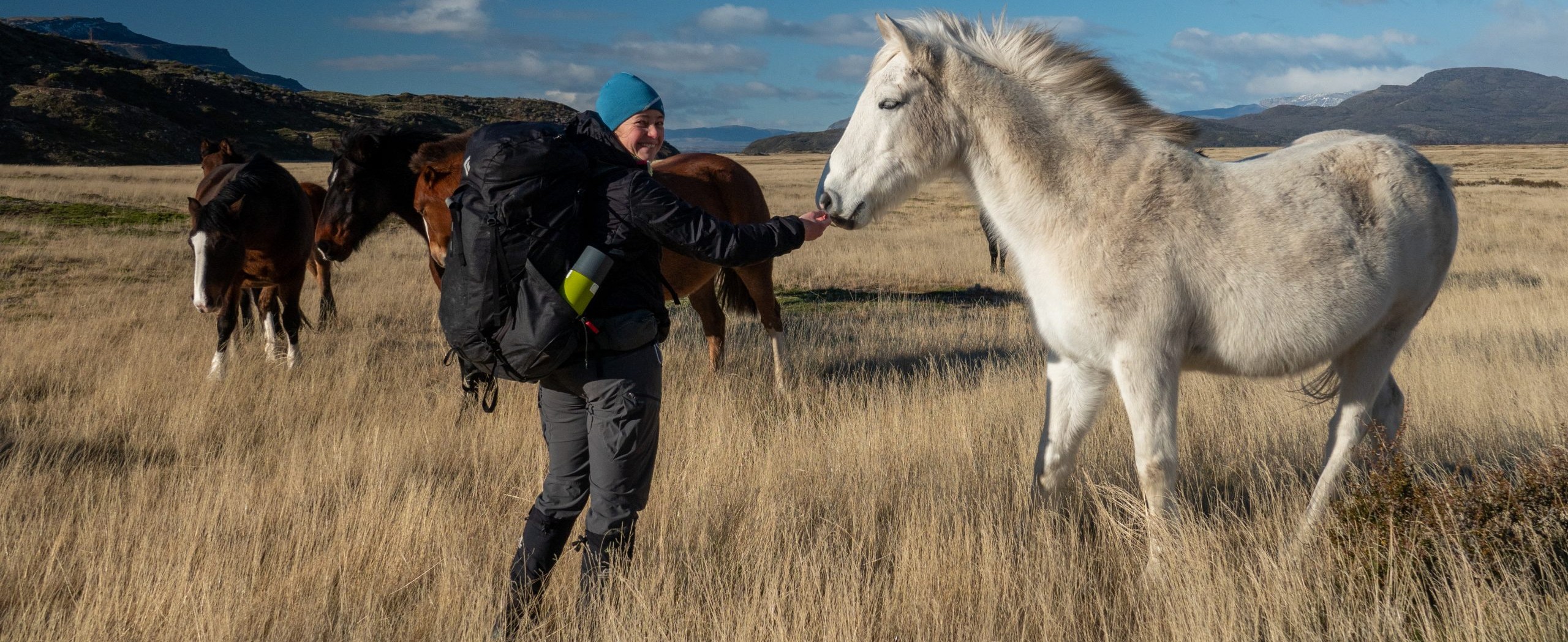 W Trek in Torres del Paine Tour