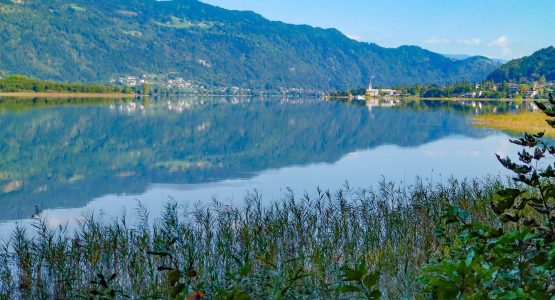 Carinthian Lakes Bike Tour