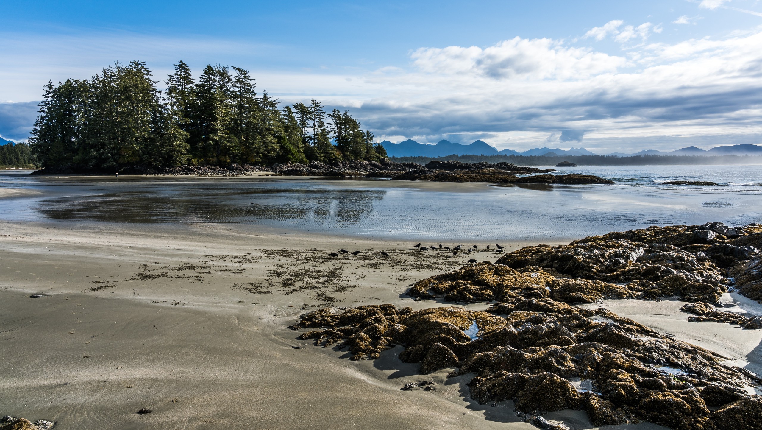 Vancouver Island Storm Chasing Self-Drive Tour
