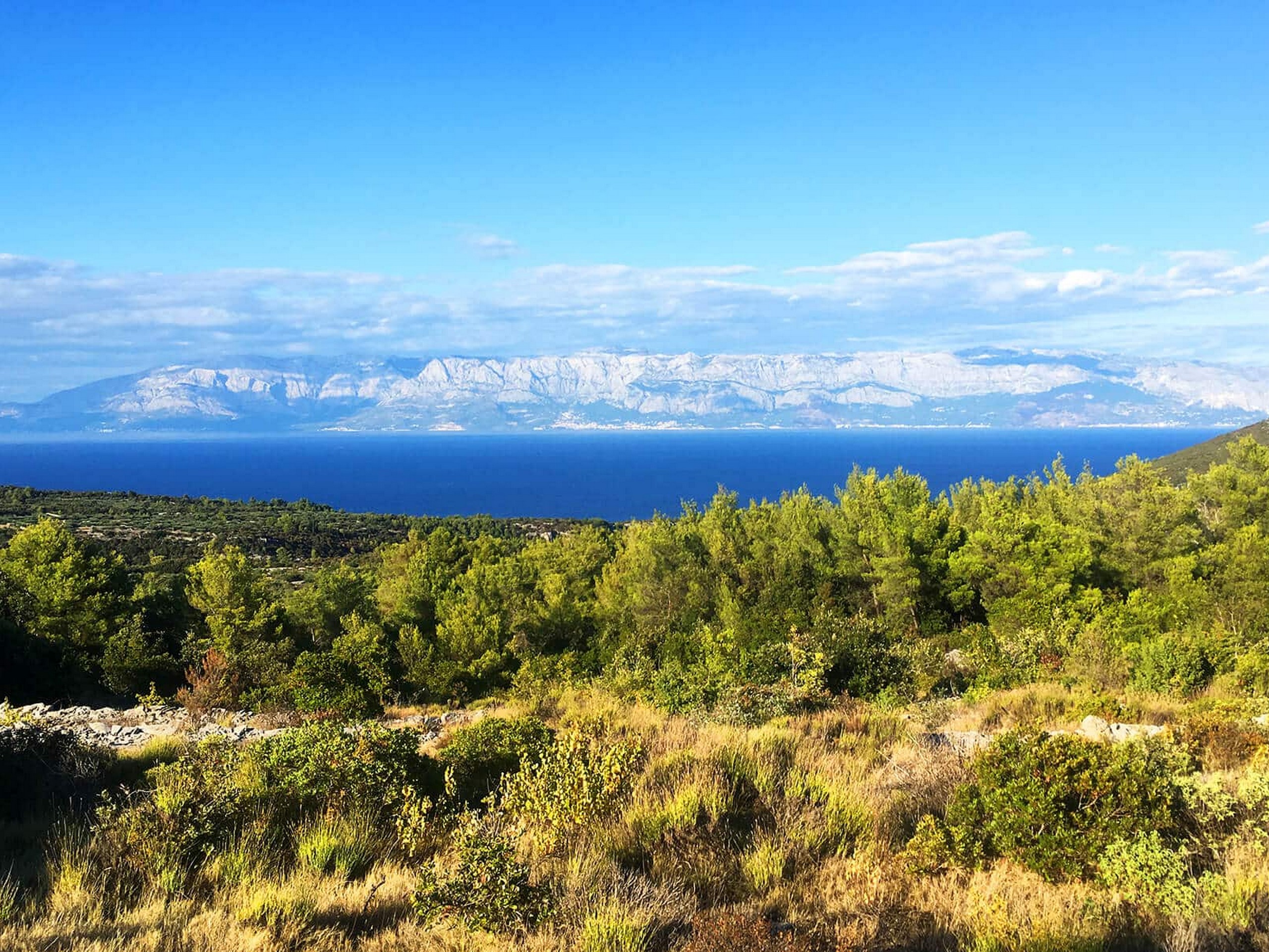 Beautiful views over one of the Dalamatian Islands (Croatia)