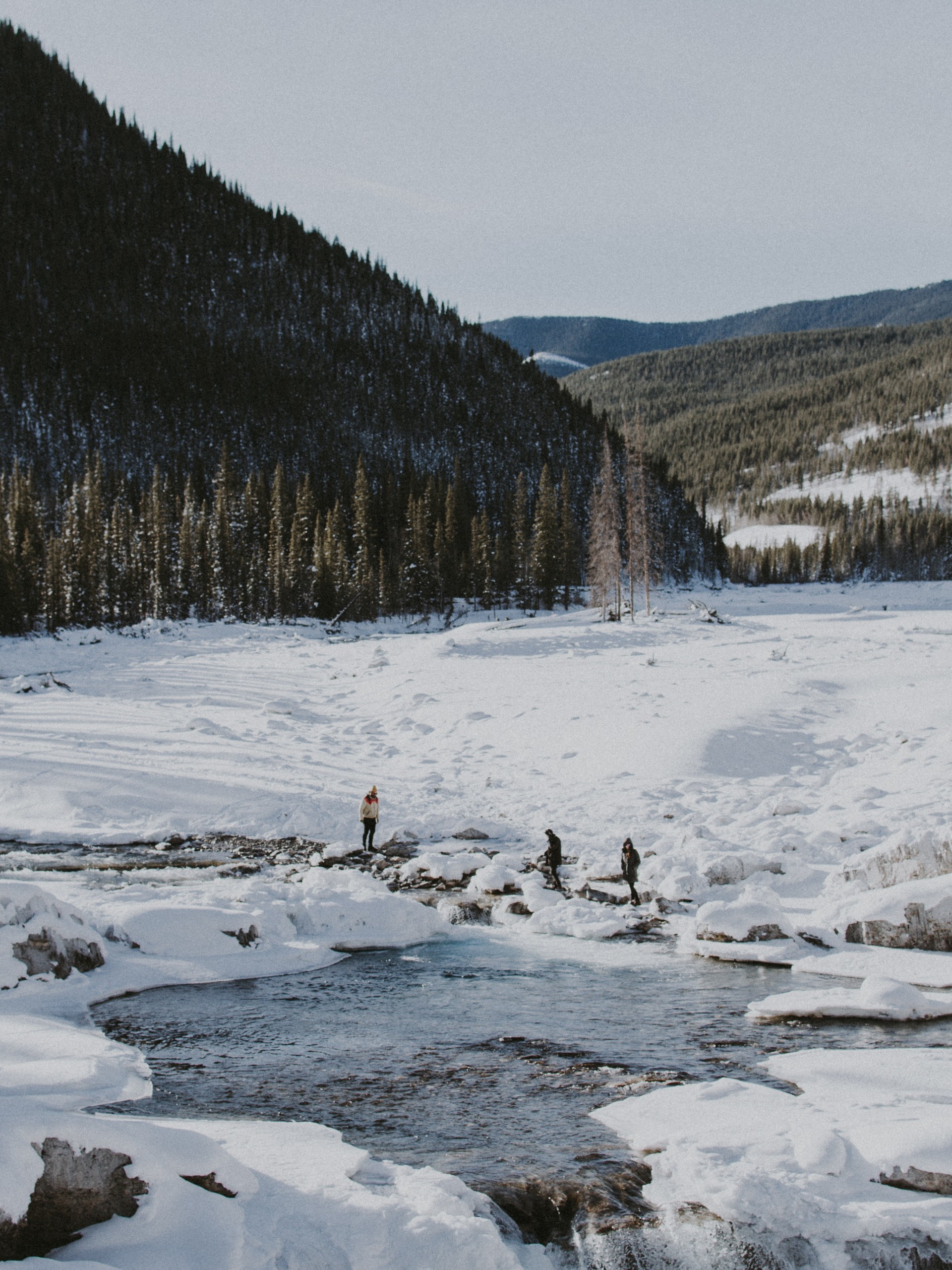 Winter in the Rockies