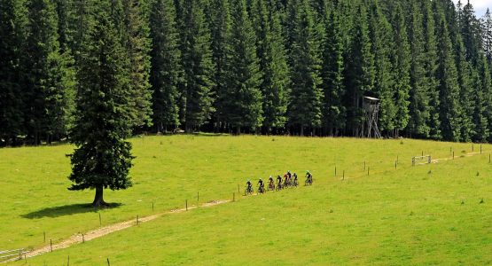 Group of bikers riding in the green meadows of Slovenia