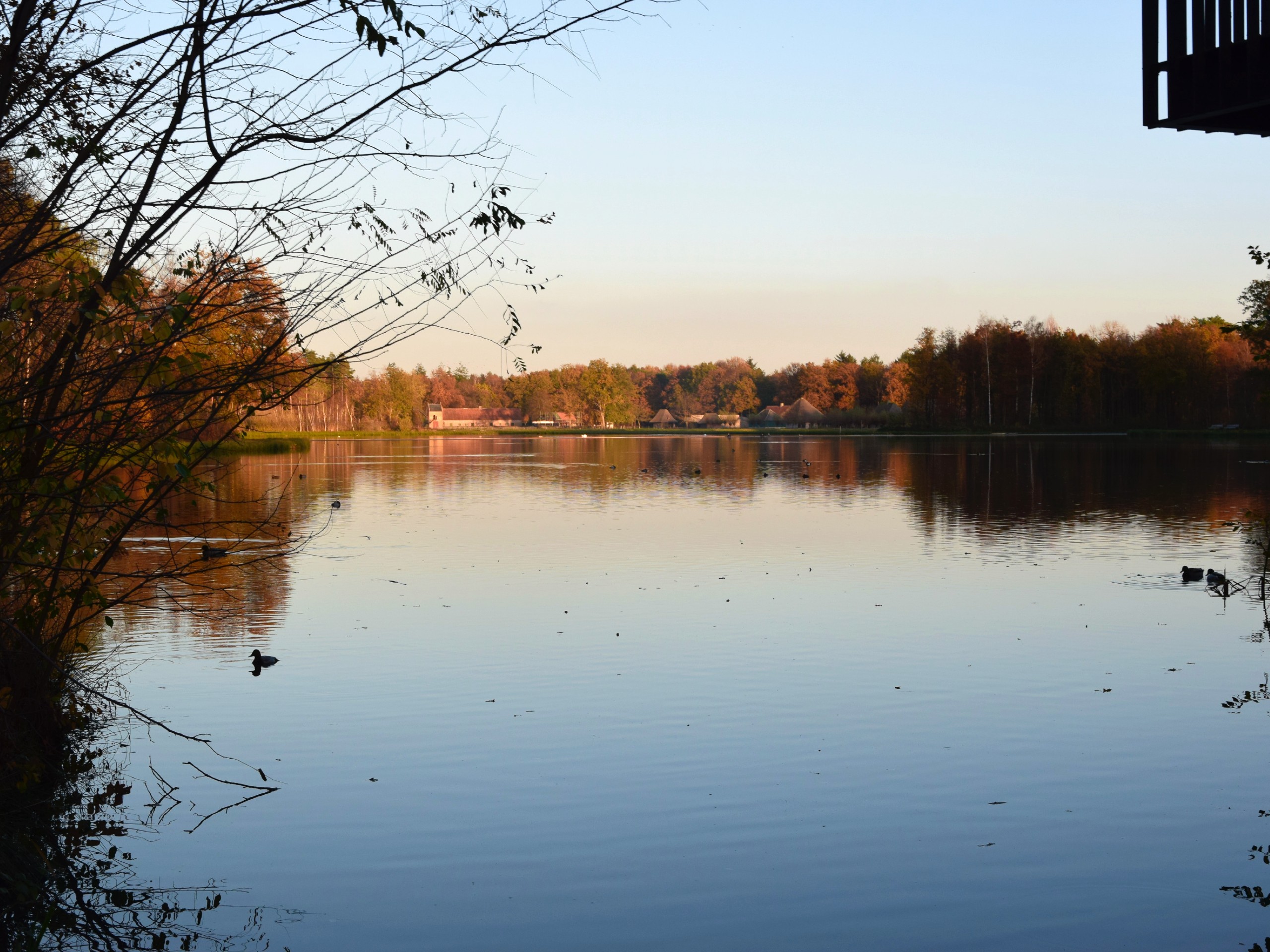 Lake in Netherlands