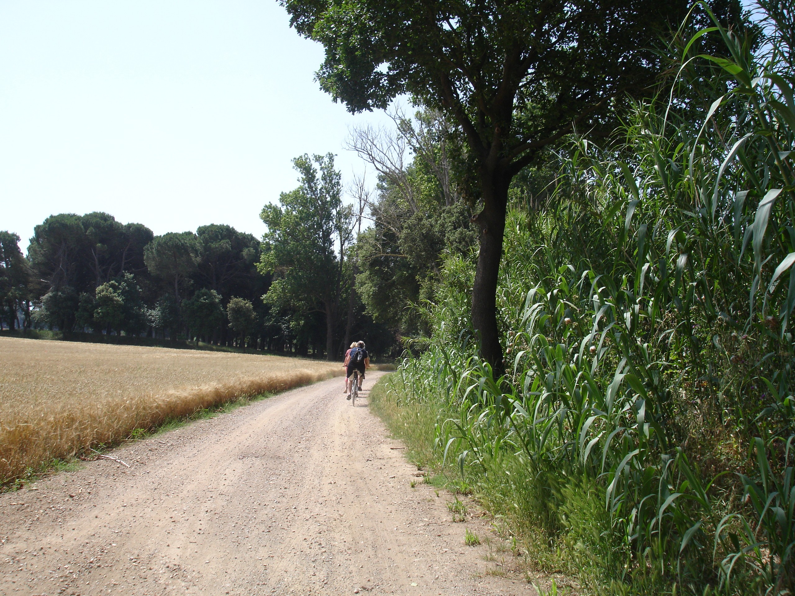 Catalunya - cyclist on gravel road