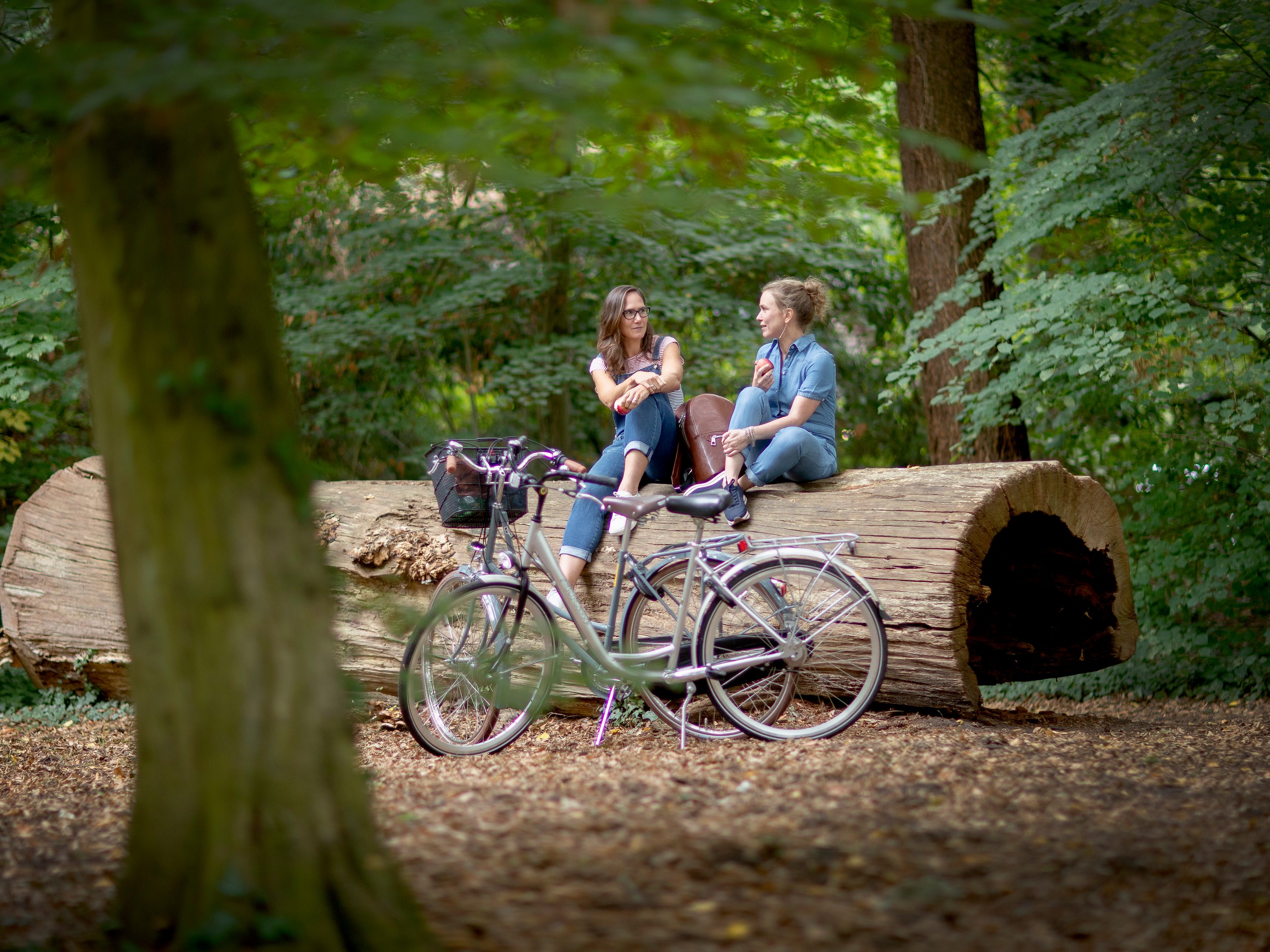 Couple resting in the forest while cycling in Flanders