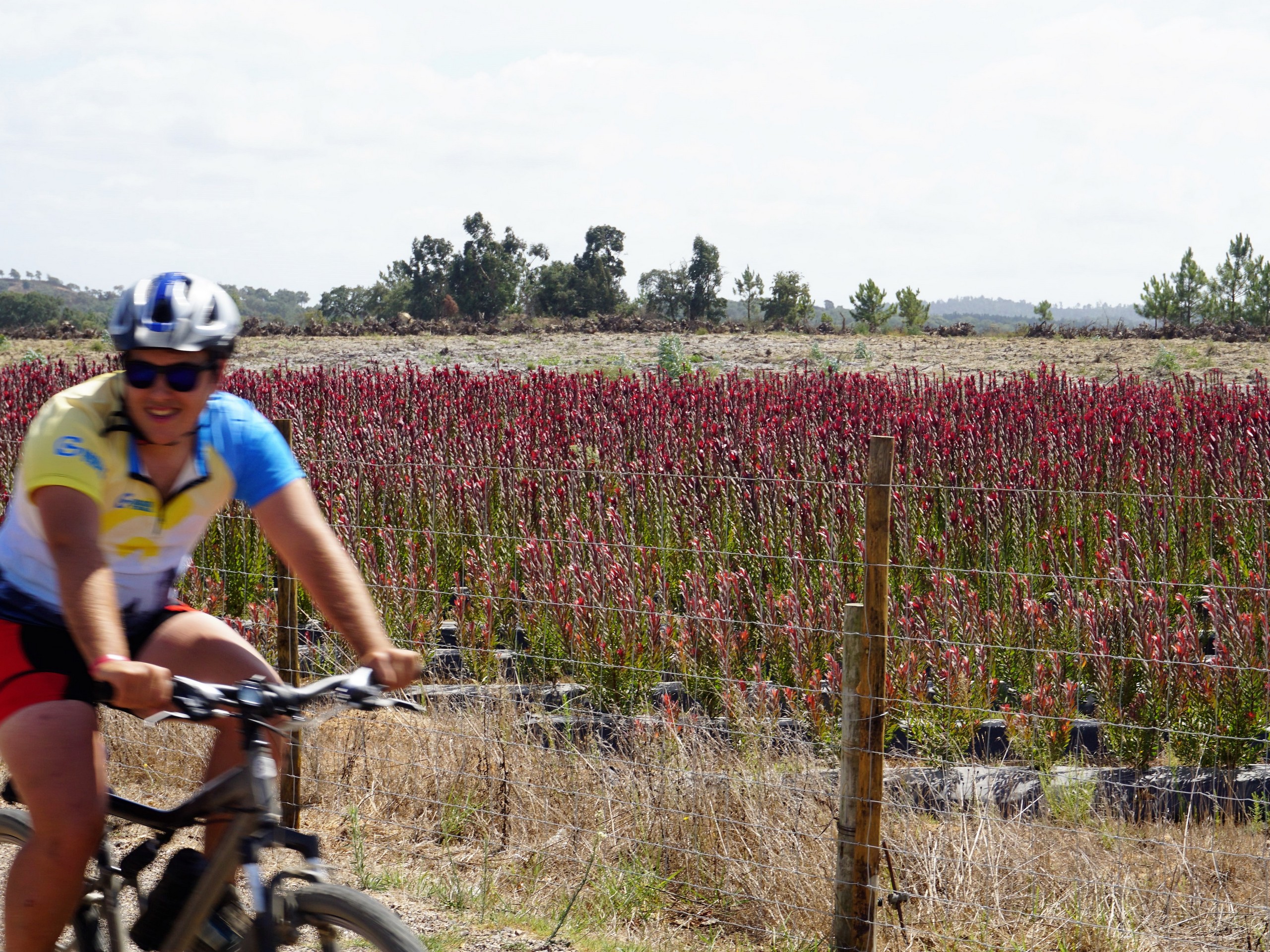 Cycling in Zambujeira, Portugal