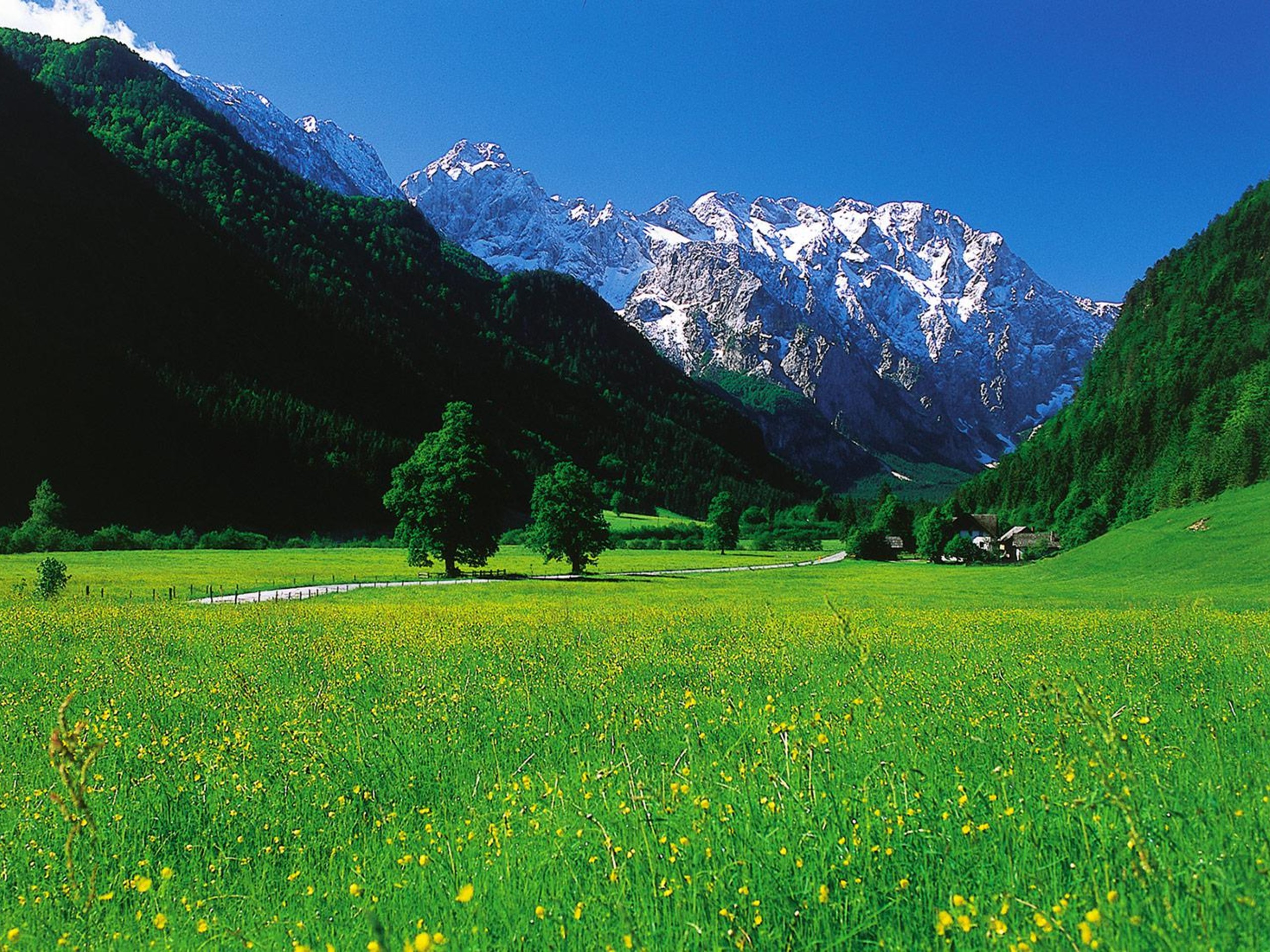 Stunning mountains in the Julian Alps in Slovenia