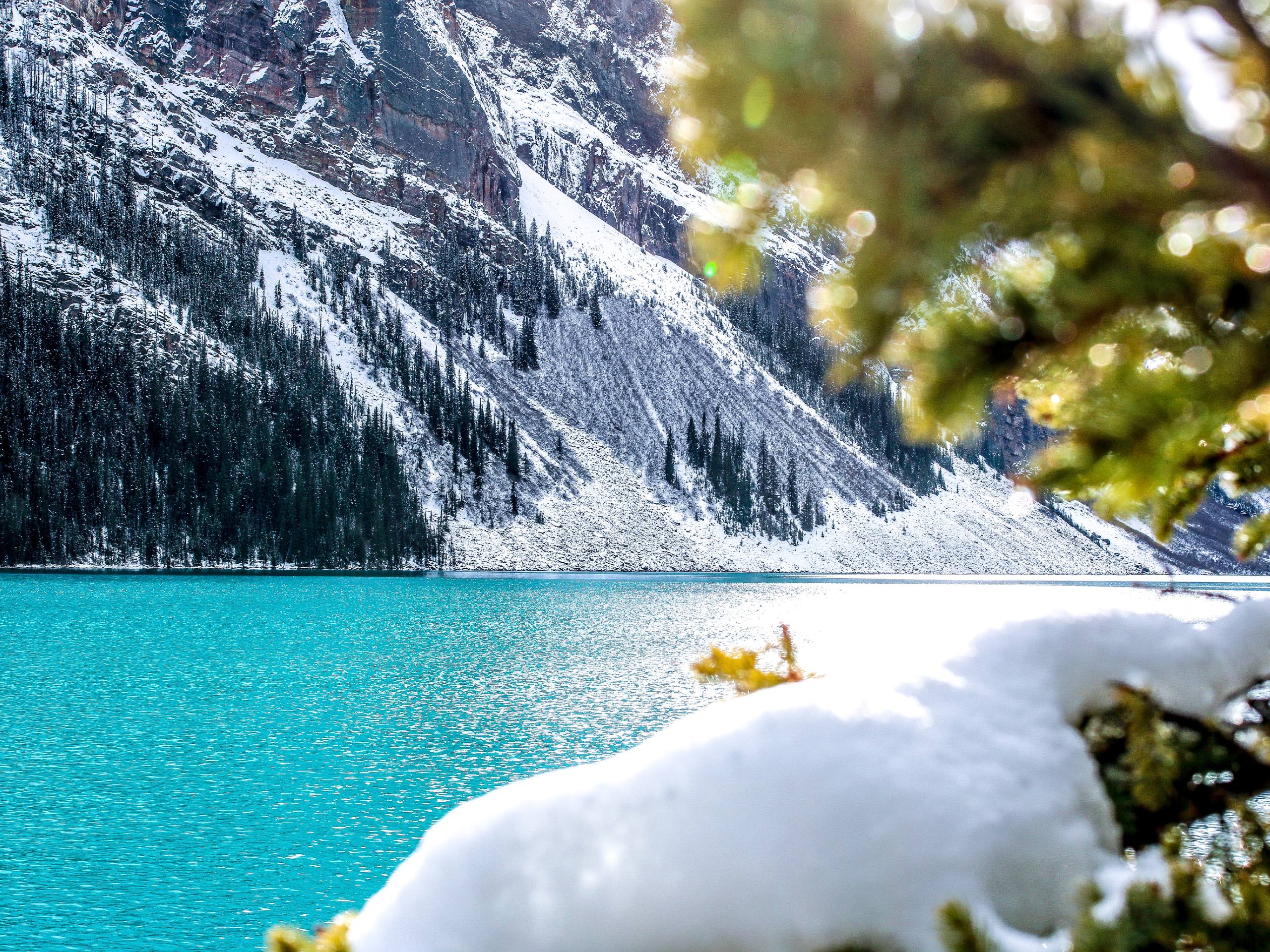 Turquoise lake in Banff National Park