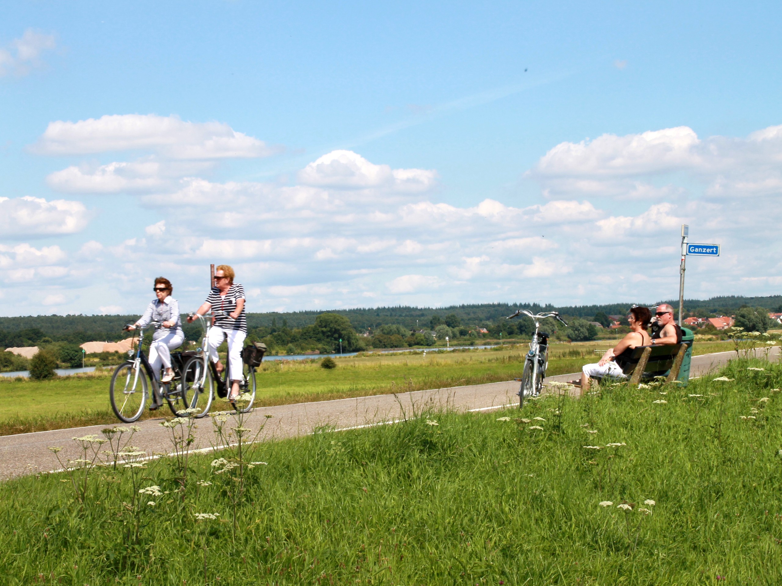 Biking path in Utrecht