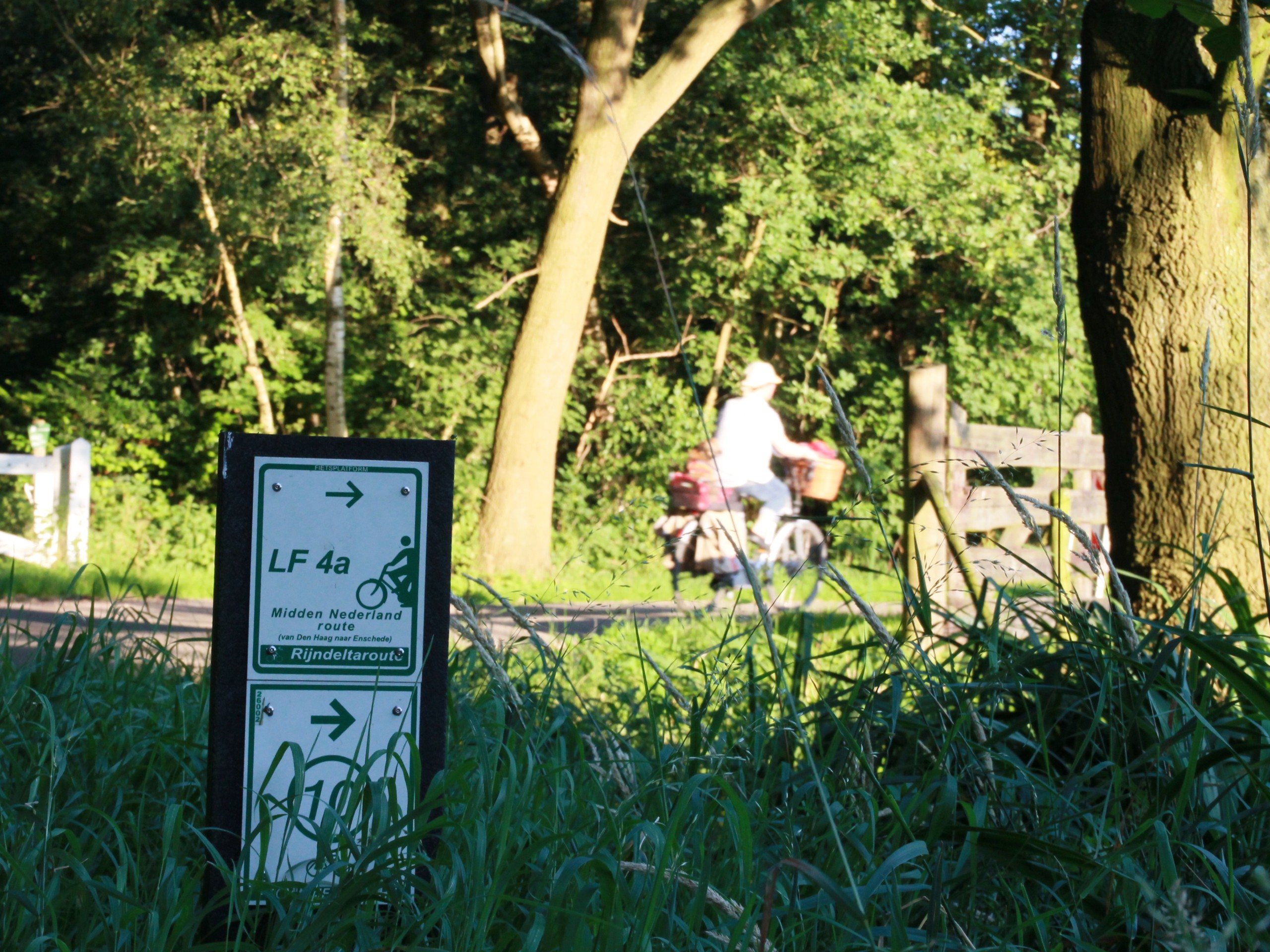 Biking paths in Utrecht