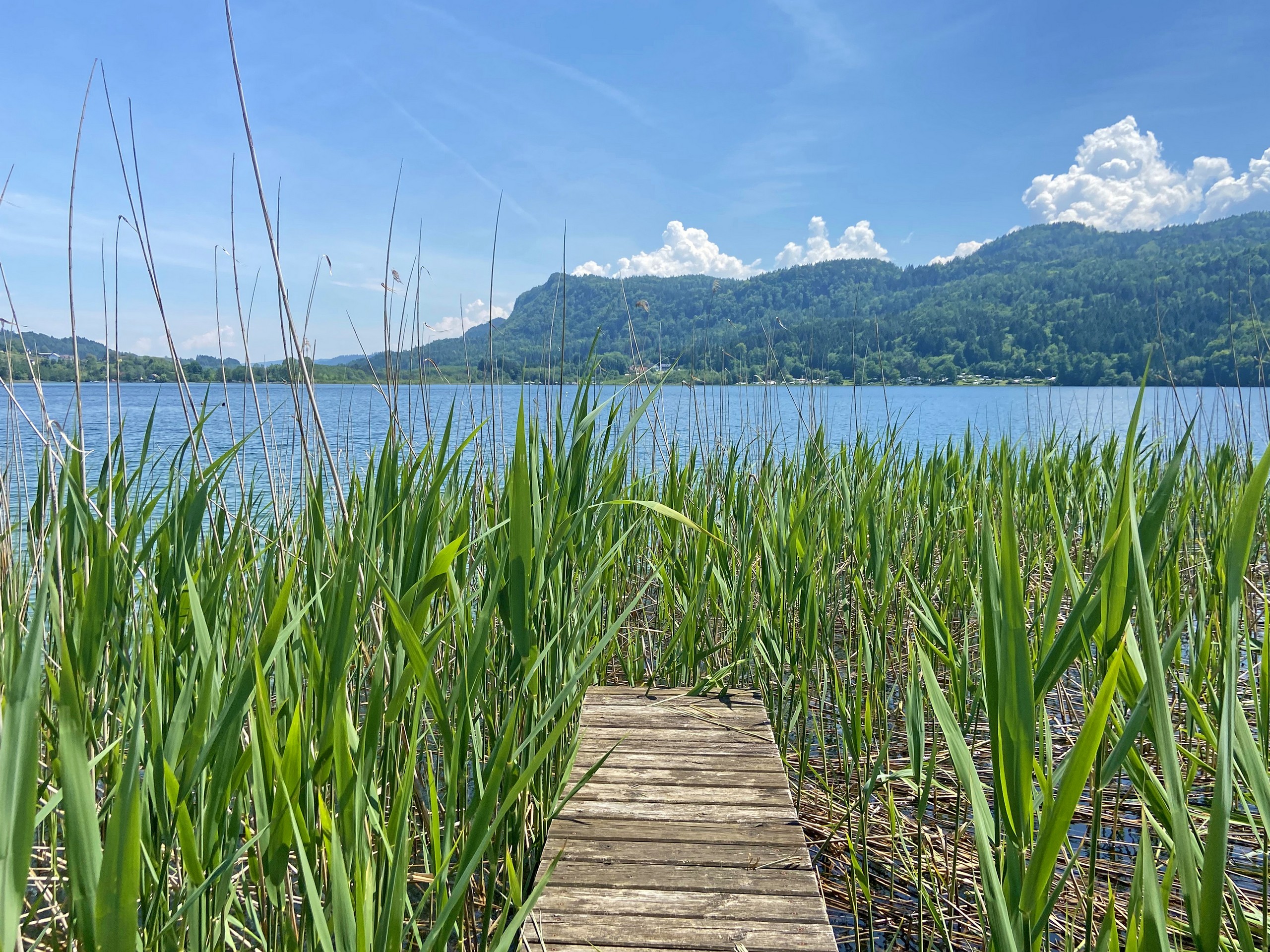 Wooden panton in Austria