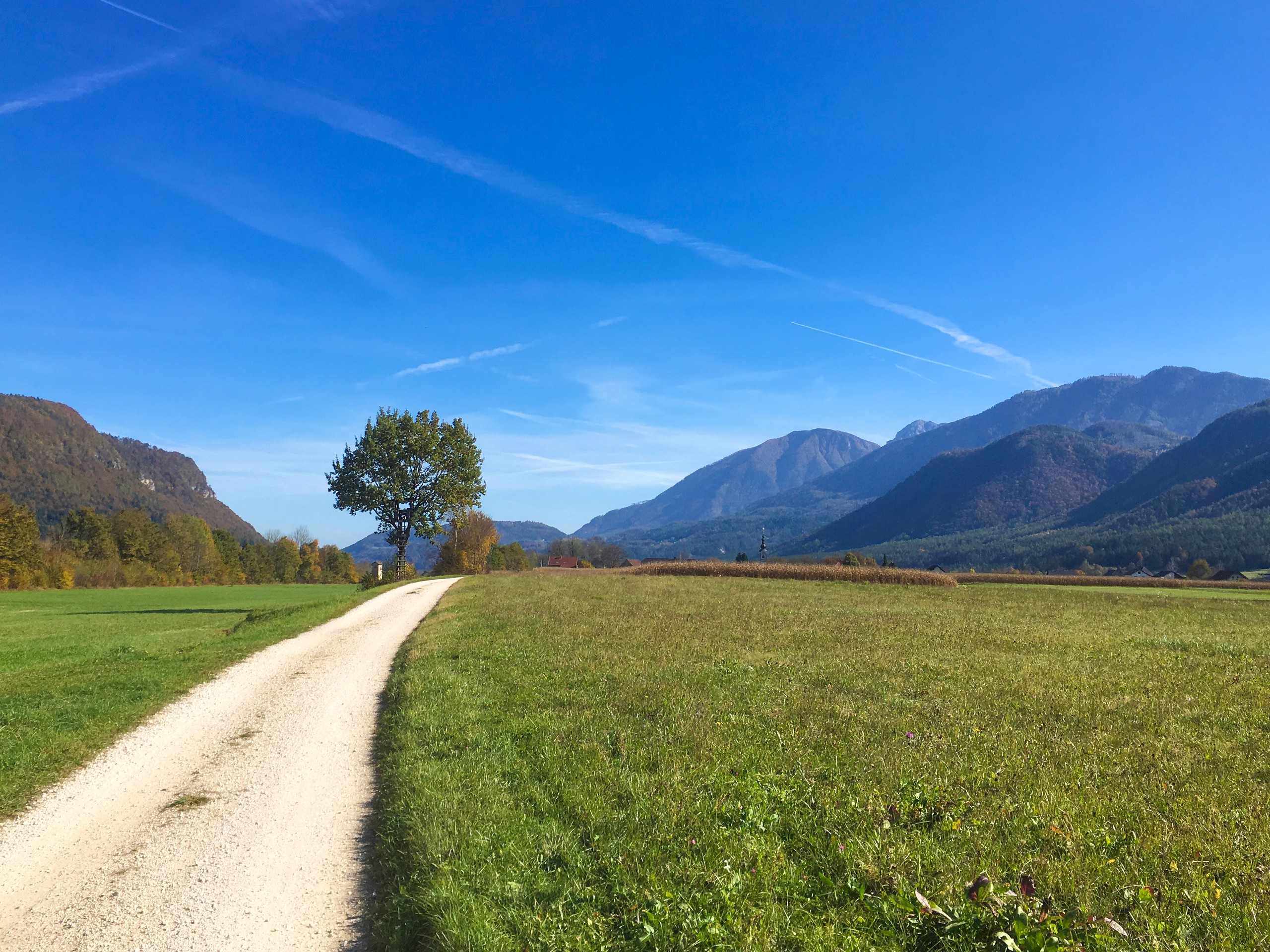 Drau cycling path