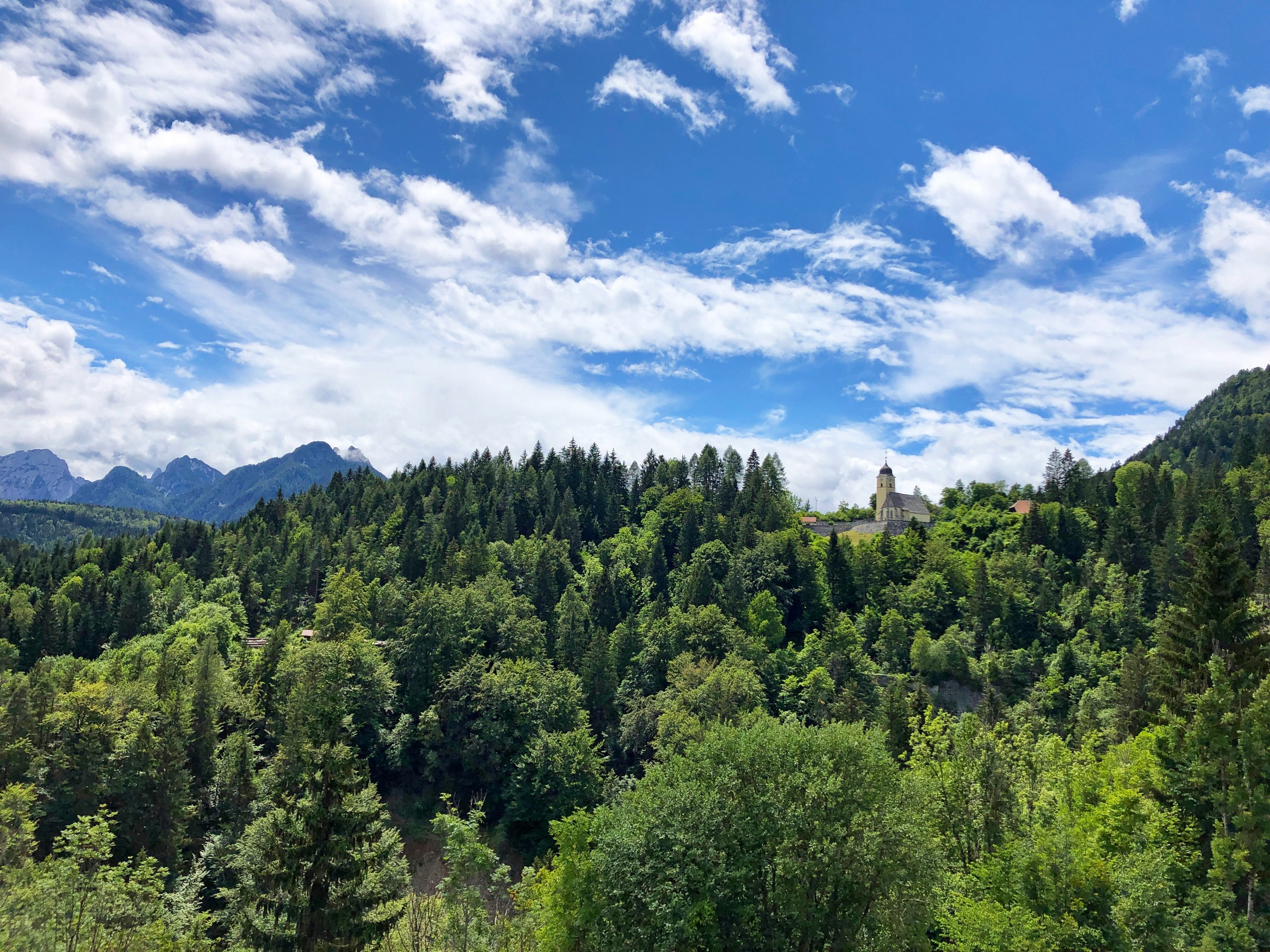 Greenery along the Alpe Adria Trail