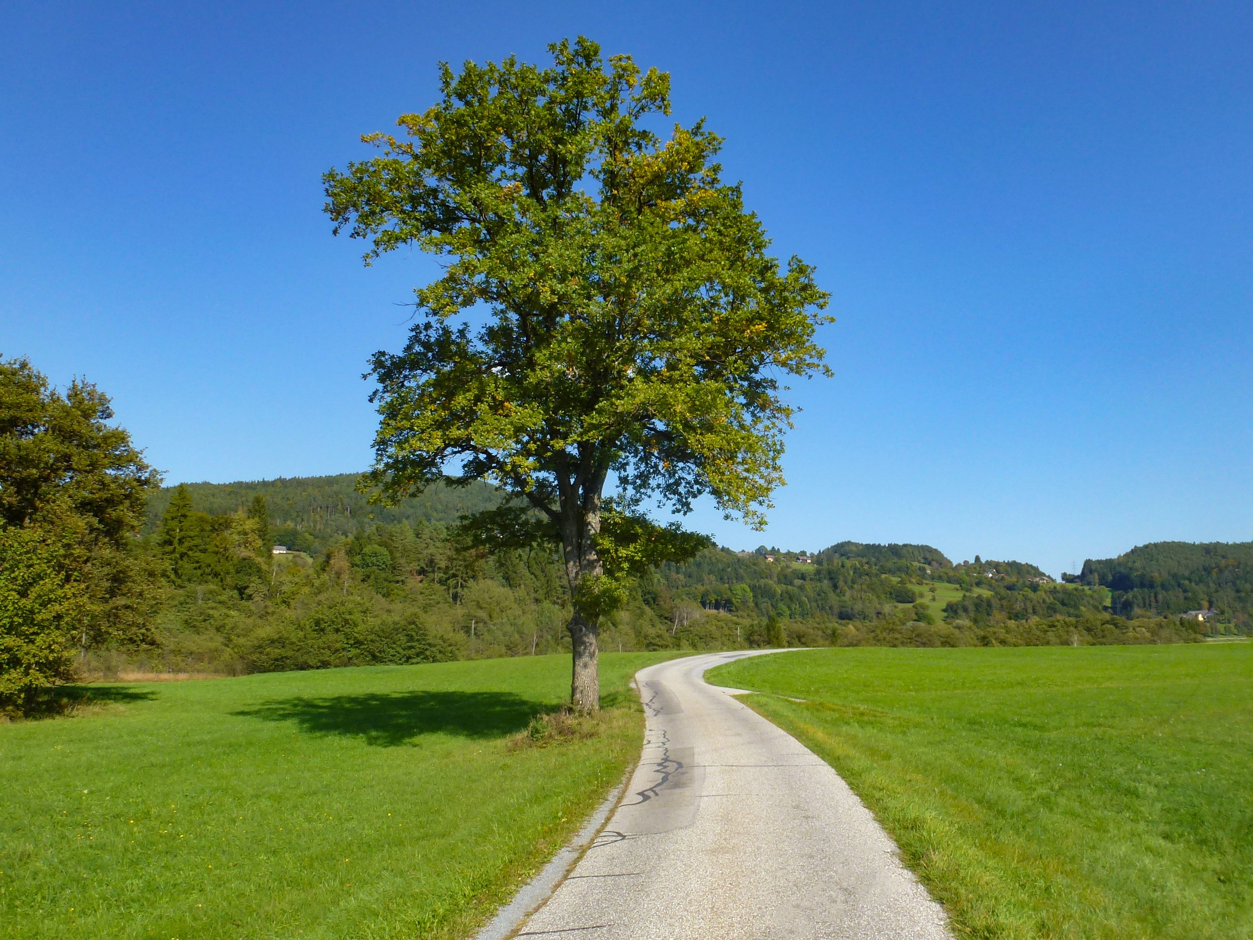 Biking path in the Carynthian region