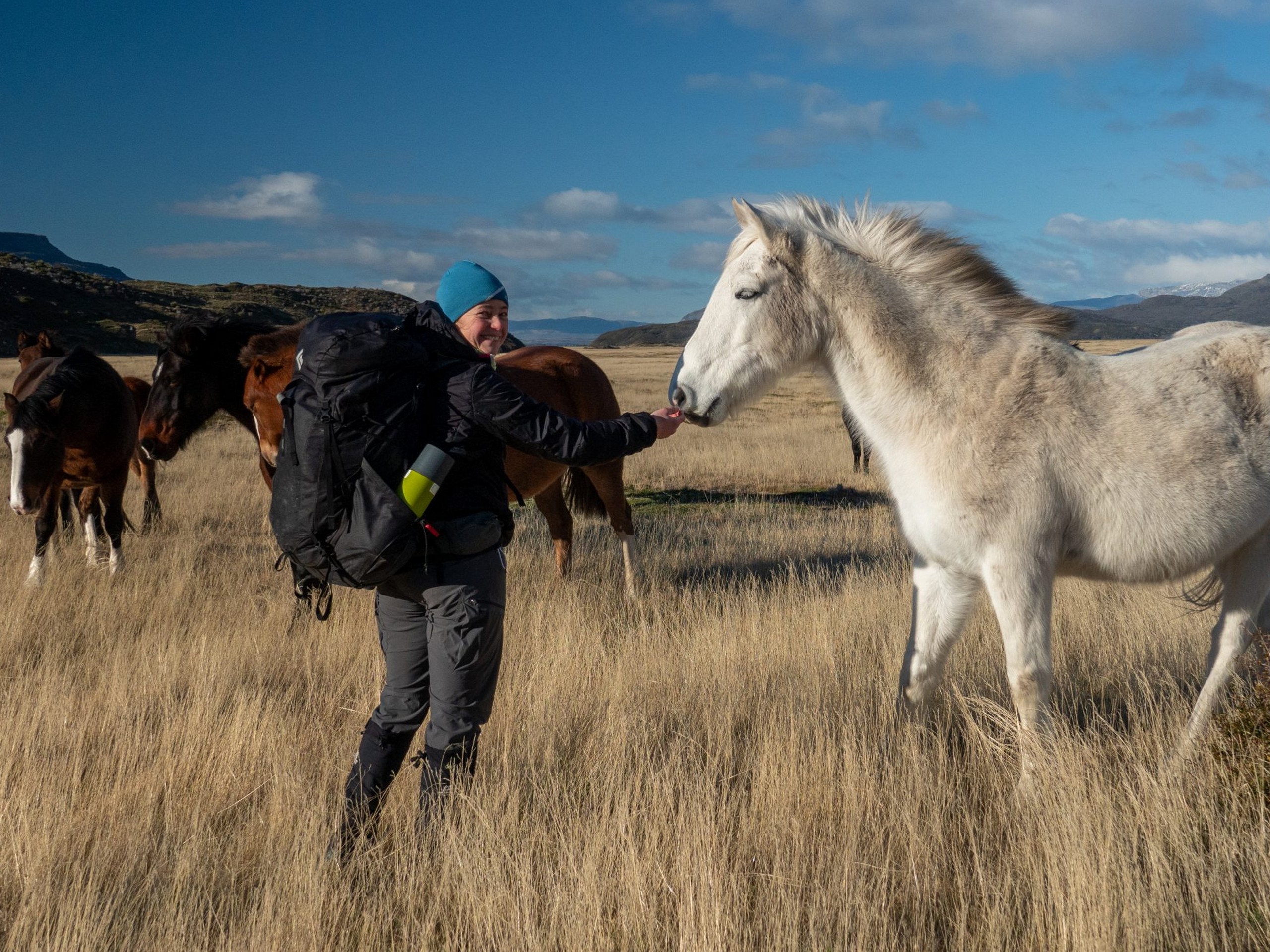 Petting the hore met while on W Trek