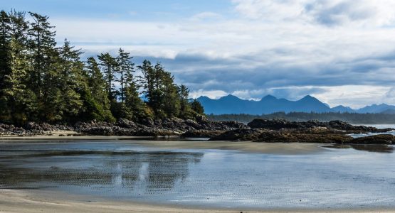 Vancouver Island Storm Chasing Self-Drive Tour